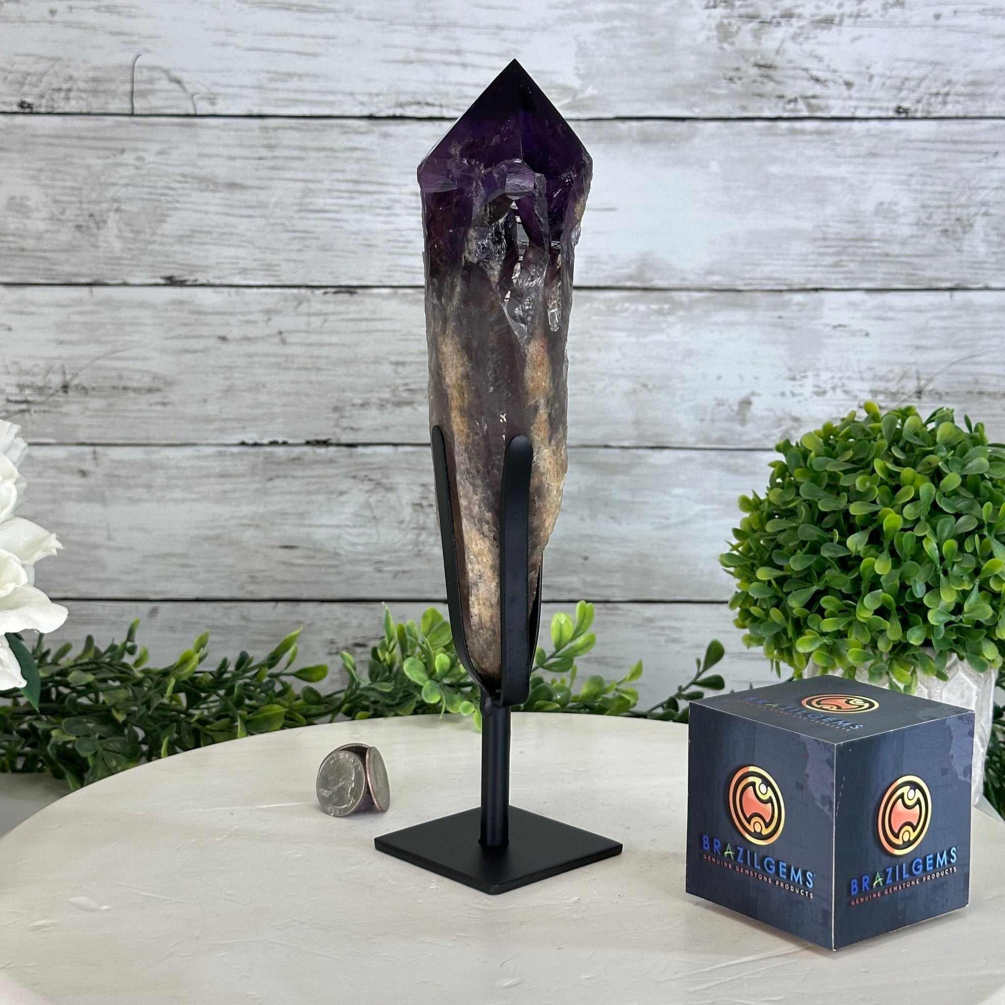 Super Quality Amethyst Wand on a Metal Stand, 2 lbs & 10.7" Tall #3123AM-008 - Brazil GemsBrazil GemsSuper Quality Amethyst Wand on a Metal Stand, 2 lbs & 10.7" Tall #3123AM-008Clusters on Fixed Bases3123AM-008