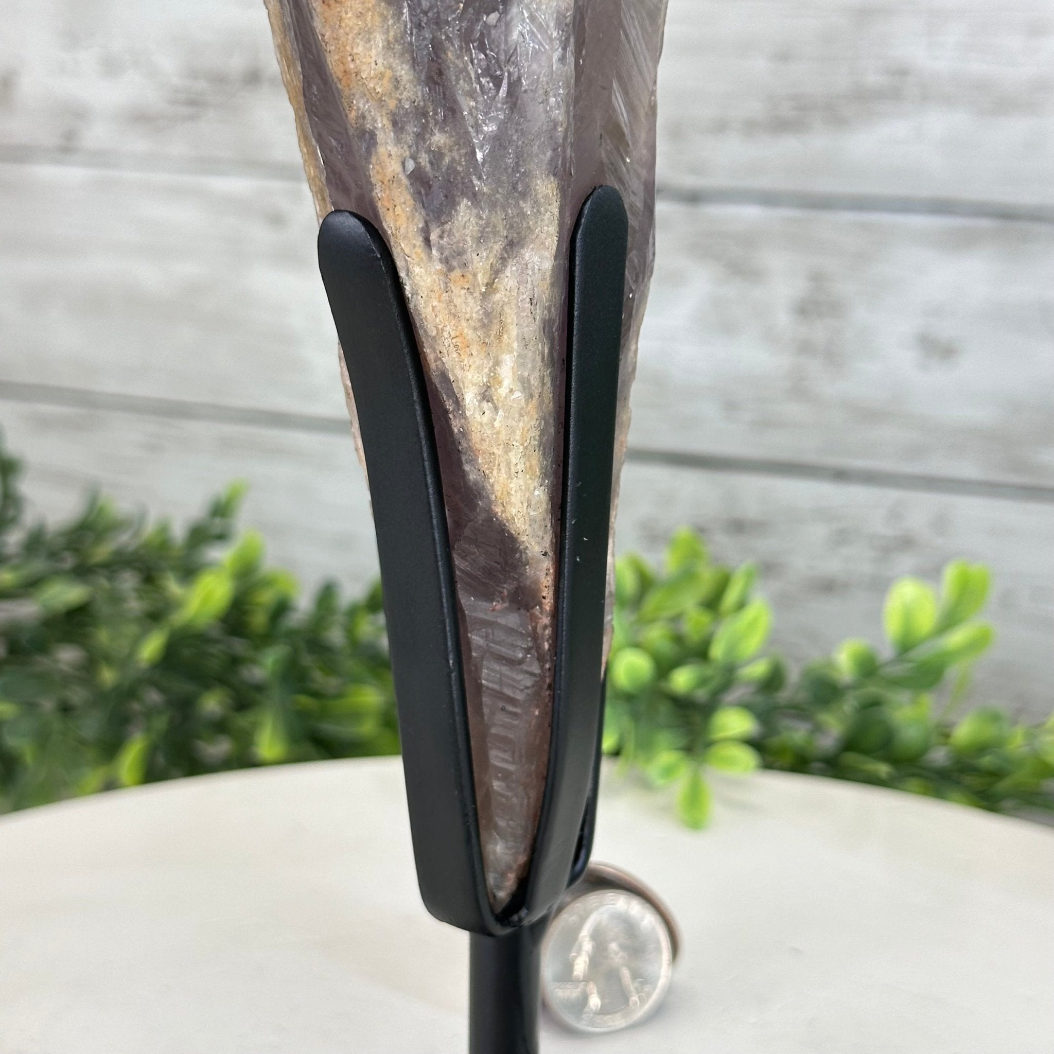 Super Quality Amethyst Wand on a Metal Stand, 2 lbs & 10.7" Tall #3123AM-008 - Brazil GemsBrazil GemsSuper Quality Amethyst Wand on a Metal Stand, 2 lbs & 10.7" Tall #3123AM-008Clusters on Fixed Bases3123AM-008