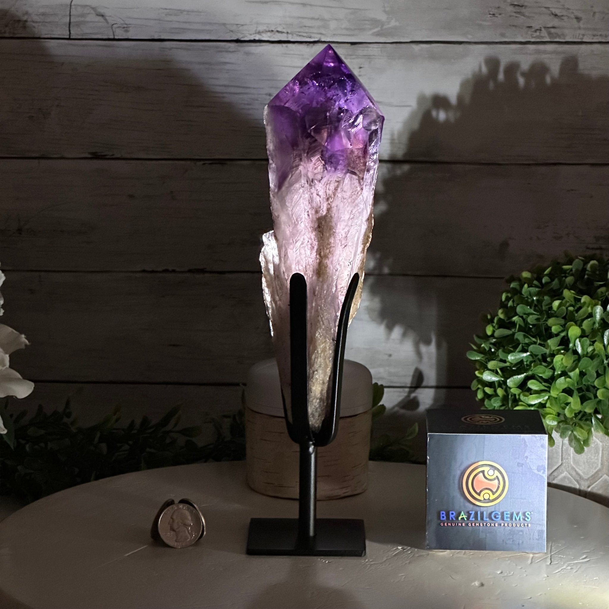 Super Quality Amethyst Wand on a Metal Stand, 2 lbs & 10.7" Tall #3123AM-008 - Brazil GemsBrazil GemsSuper Quality Amethyst Wand on a Metal Stand, 2 lbs & 10.7" Tall #3123AM-008Clusters on Fixed Bases3123AM-008