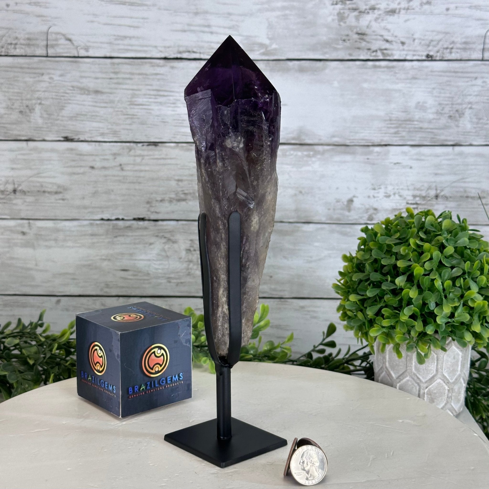 Super Quality Amethyst Wand on a Metal Stand, 2 lbs & 10.7" Tall #3123AM-009 - Brazil GemsBrazil GemsSuper Quality Amethyst Wand on a Metal Stand, 2 lbs & 10.7" Tall #3123AM-009Clusters on Fixed Bases3123AM-009