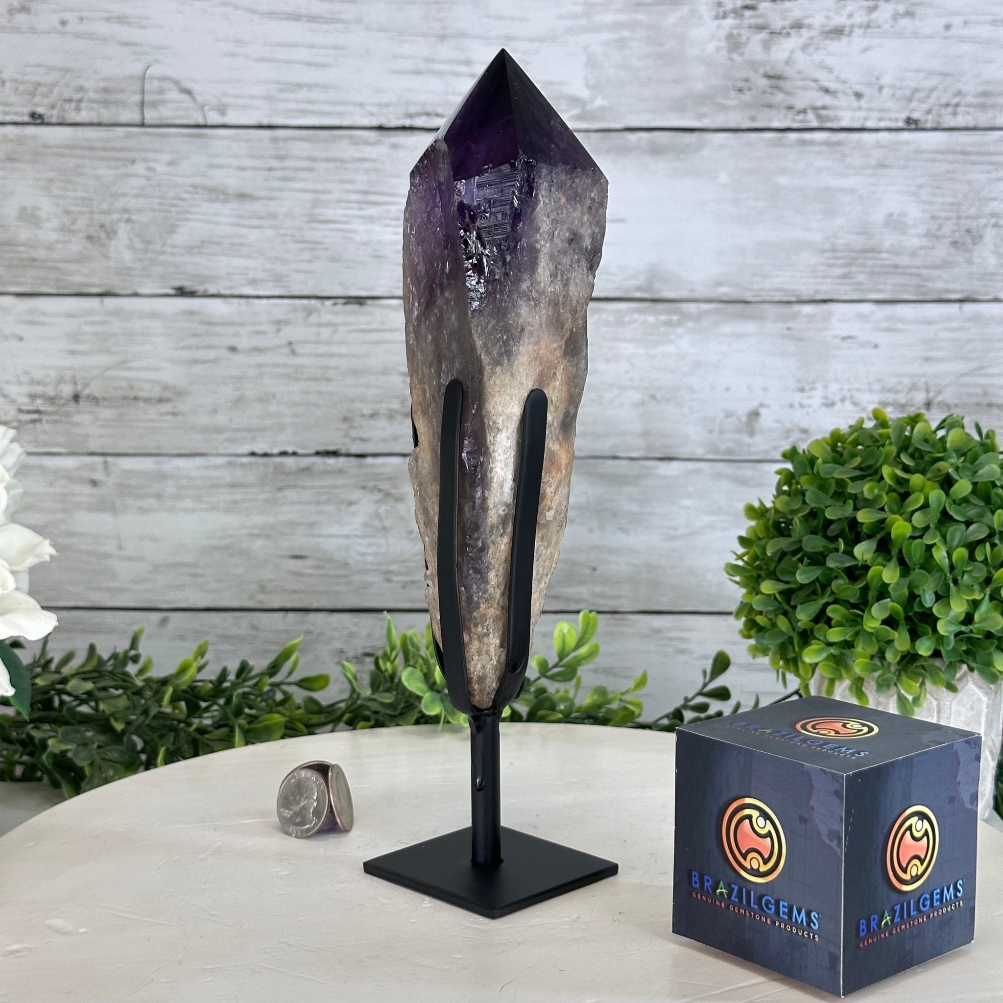 Super Quality Amethyst Wand on a Metal Stand, 2.1 lbs & 10.6" Tall #3123AM-010 - Brazil GemsBrazil GemsSuper Quality Amethyst Wand on a Metal Stand, 2.1 lbs & 10.6" Tall #3123AM-010Clusters on Fixed Bases3123AM-010