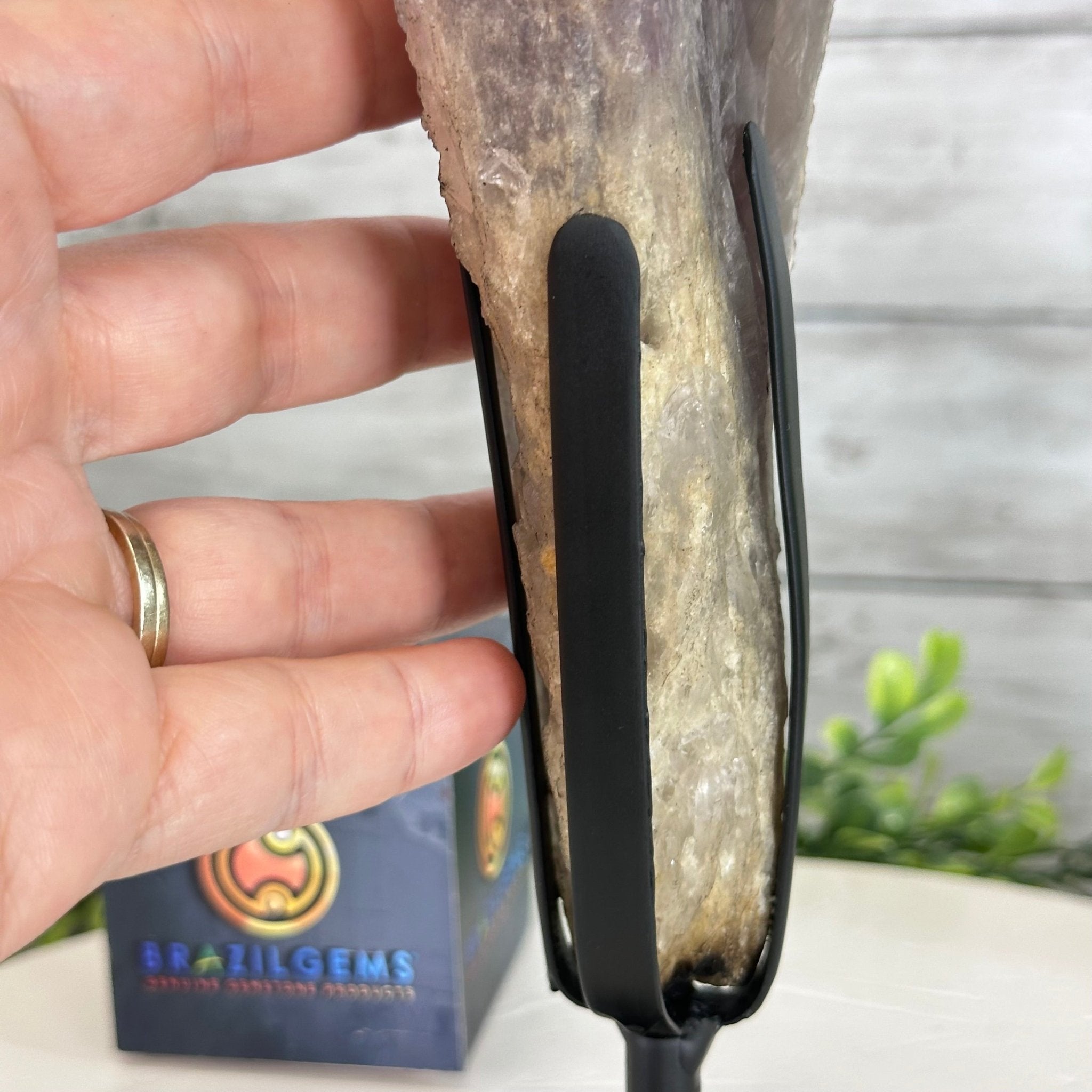 Super Quality Amethyst Wand on a Metal Stand, 2.1 lbs & 10.6" Tall #3123AM-010 - Brazil GemsBrazil GemsSuper Quality Amethyst Wand on a Metal Stand, 2.1 lbs & 10.6" Tall #3123AM-010Clusters on Fixed Bases3123AM-010