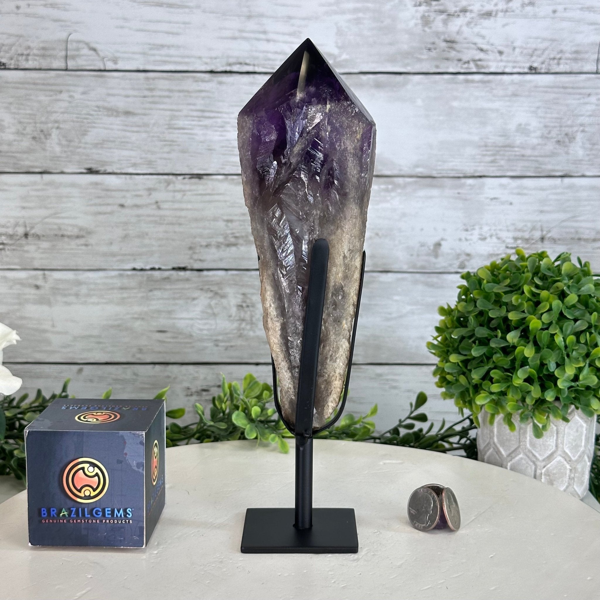 Super Quality Amethyst Wand on a Metal Stand, 2.1 lbs & 10.6" Tall #3123AM-010 - Brazil GemsBrazil GemsSuper Quality Amethyst Wand on a Metal Stand, 2.1 lbs & 10.6" Tall #3123AM-010Clusters on Fixed Bases3123AM-010