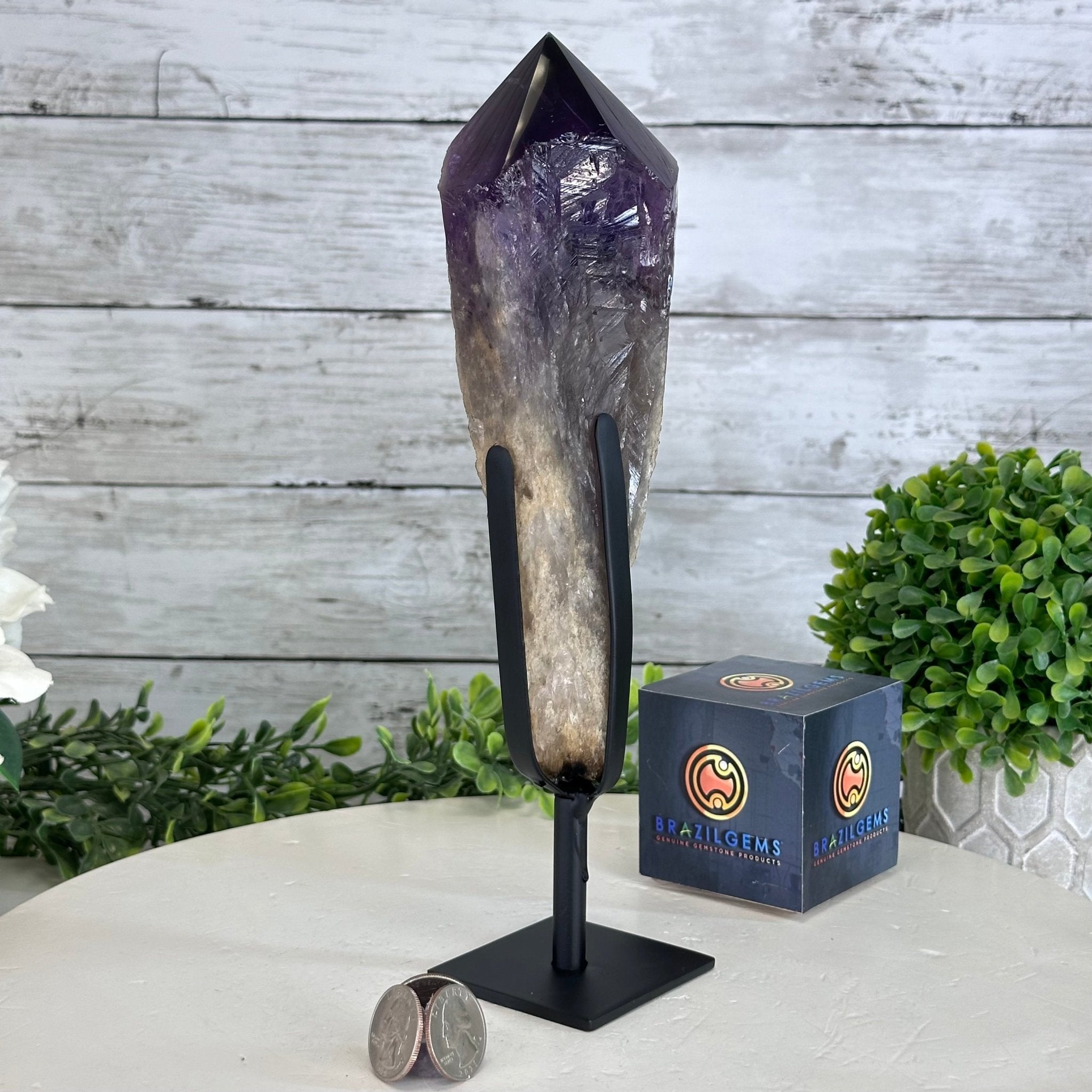 Super Quality Amethyst Wand on a Metal Stand, 2.1 lbs & 10.6" Tall #3123AM-010 - Brazil GemsBrazil GemsSuper Quality Amethyst Wand on a Metal Stand, 2.1 lbs & 10.6" Tall #3123AM-010Clusters on Fixed Bases3123AM-010