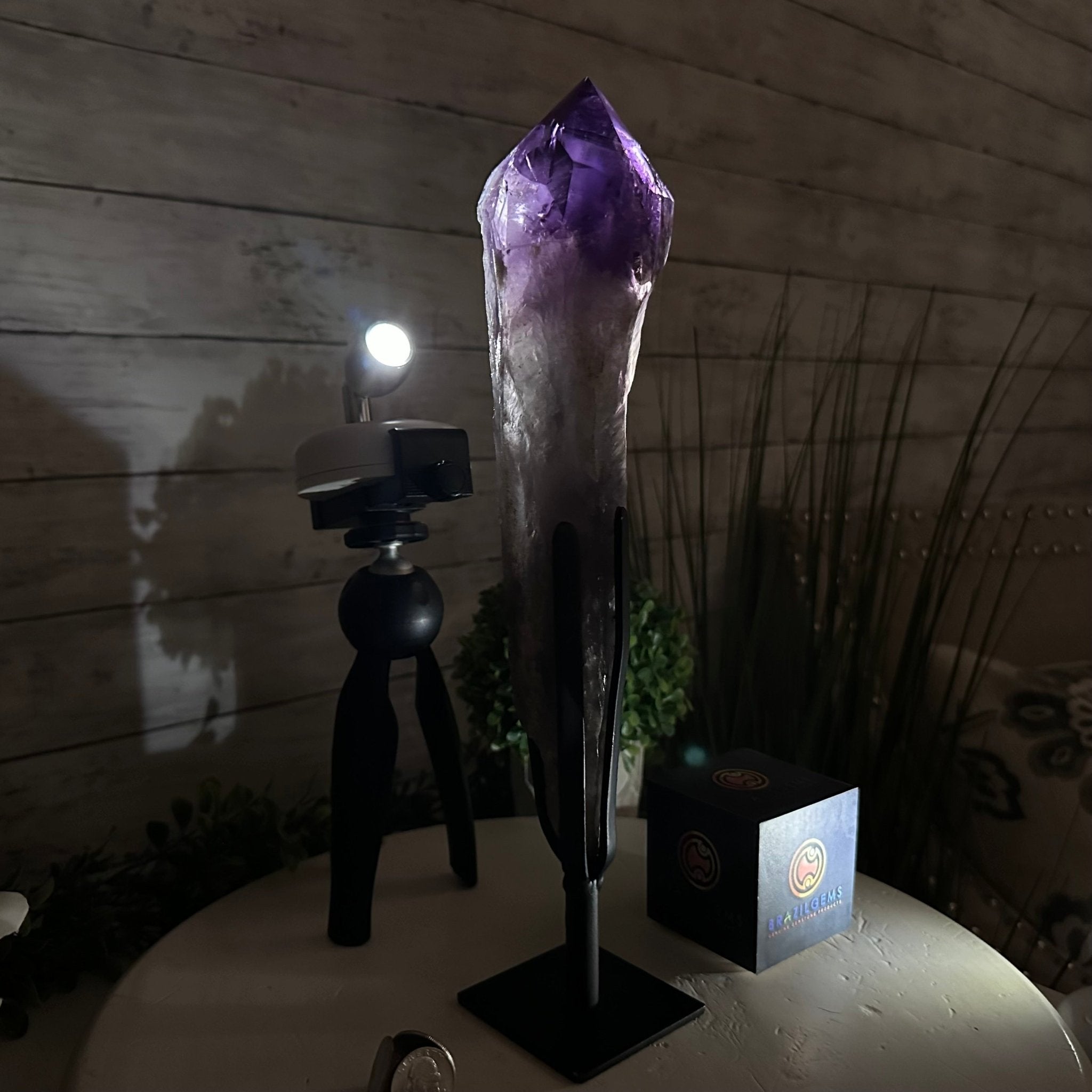 Super Quality Amethyst Wand on a Metal Stand, 2.6 lbs & 13.4" Tall #3123AM-012 - Brazil GemsBrazil GemsSuper Quality Amethyst Wand on a Metal Stand, 2.6 lbs & 13.4" Tall #3123AM-012Clusters on Fixed Bases3123AM-012