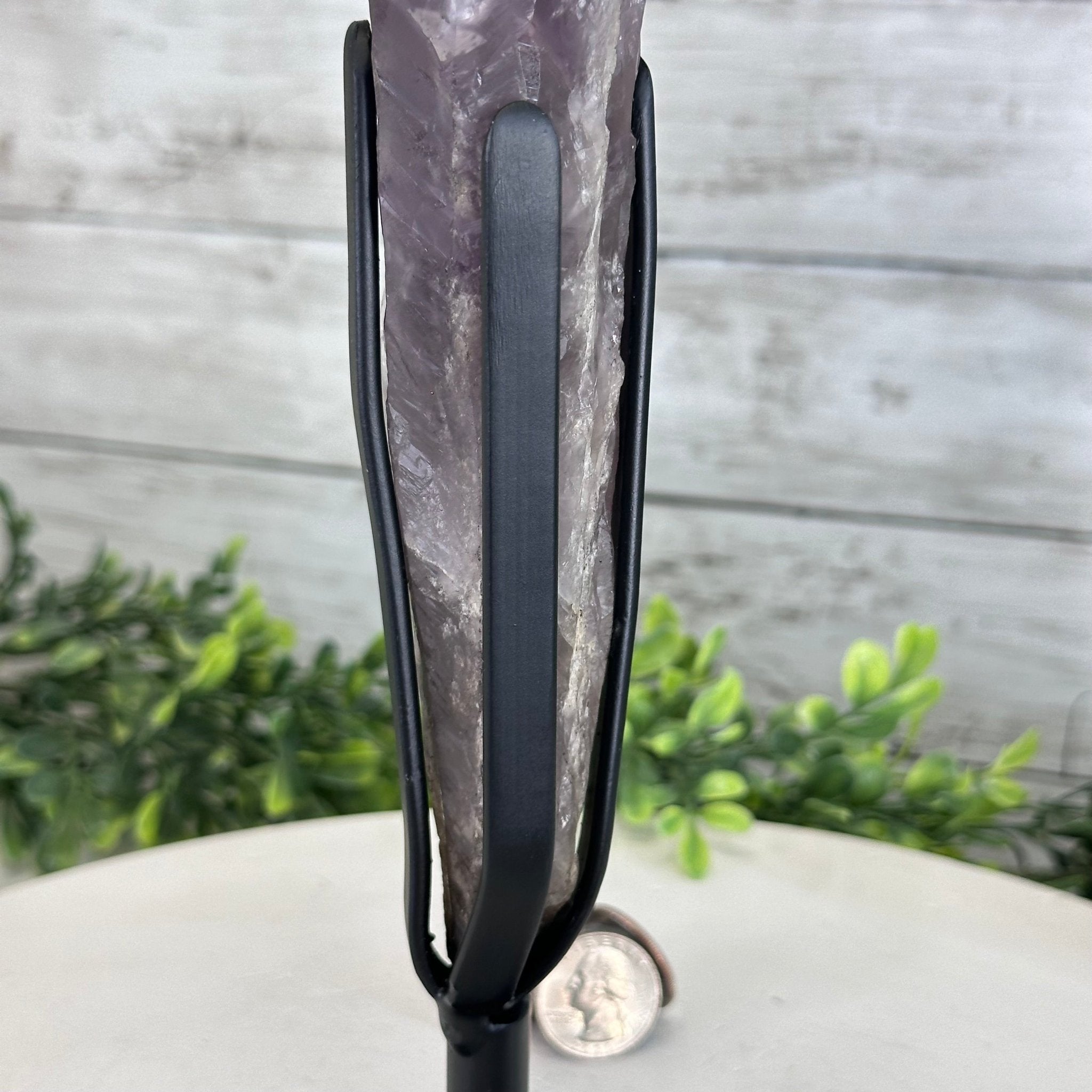 Super Quality Amethyst Wand on a Metal Stand, 2.6 lbs & 13.4" Tall #3123AM-012 - Brazil GemsBrazil GemsSuper Quality Amethyst Wand on a Metal Stand, 2.6 lbs & 13.4" Tall #3123AM-012Clusters on Fixed Bases3123AM-012