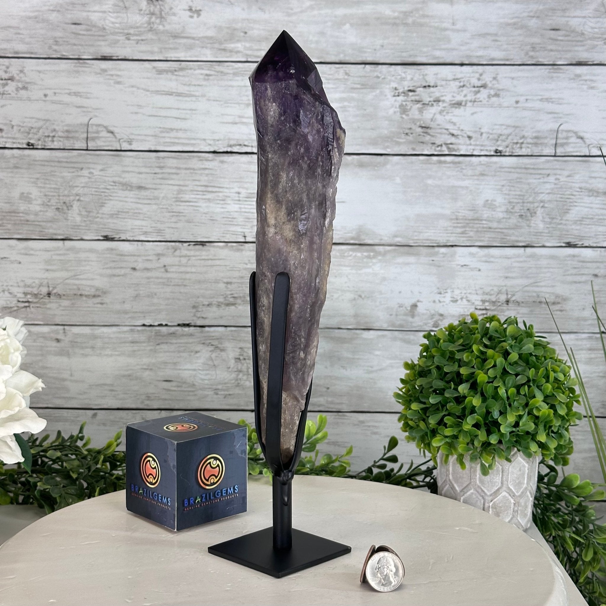 Super Quality Amethyst Wand on a Metal Stand, 2.6 lbs & 13.4" Tall #3123AM-012 - Brazil GemsBrazil GemsSuper Quality Amethyst Wand on a Metal Stand, 2.6 lbs & 13.4" Tall #3123AM-012Clusters on Fixed Bases3123AM-012