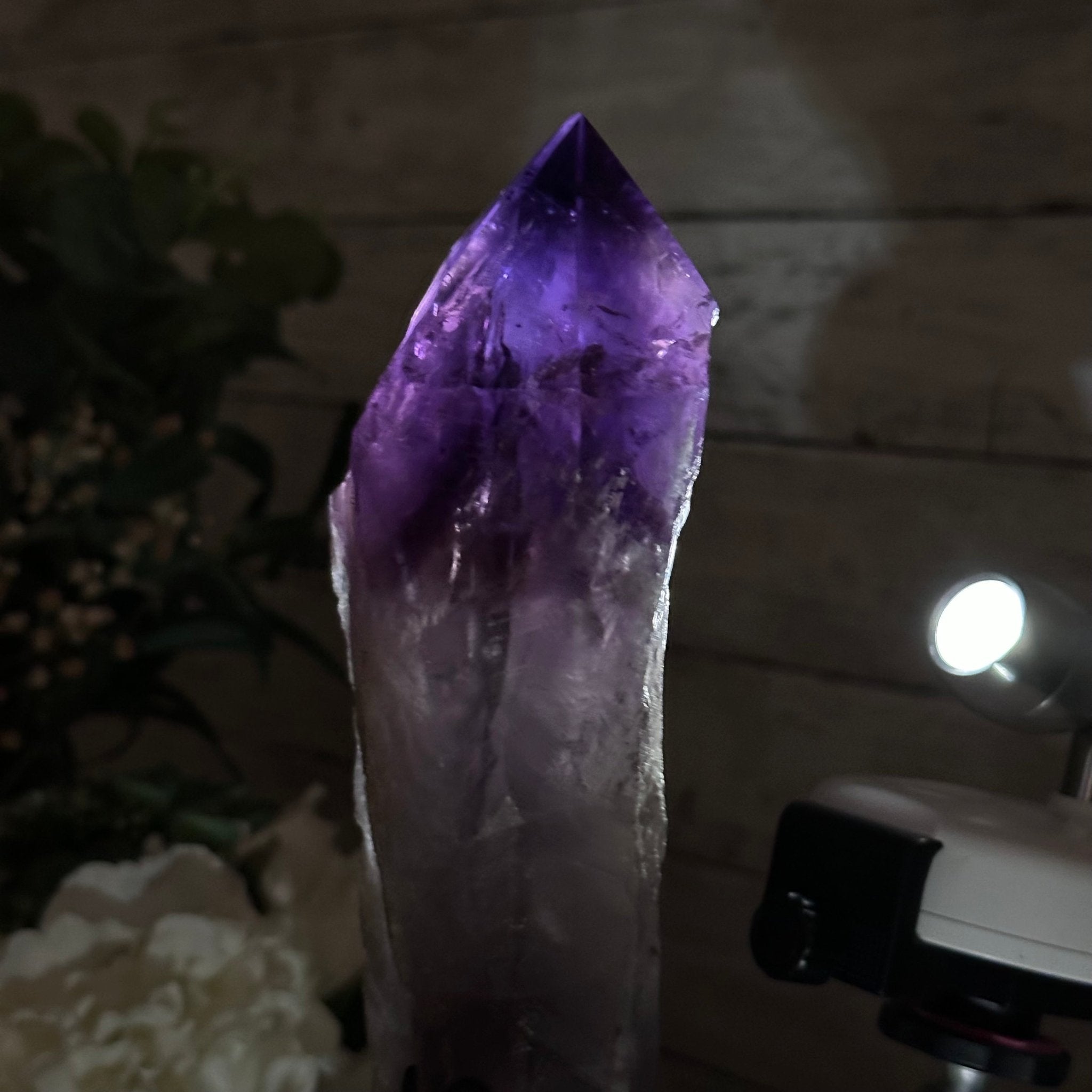 Super Quality Amethyst Wand on a Metal Stand, 2.6 lbs & 13.4" Tall #3123AM-012 - Brazil GemsBrazil GemsSuper Quality Amethyst Wand on a Metal Stand, 2.6 lbs & 13.4" Tall #3123AM-012Clusters on Fixed Bases3123AM-012