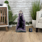 Super Quality Brazilian Amethyst Cathedral, 119.2 lbs & 26.1" Tall #5601 - 1329 - Brazil GemsBrazil GemsSuper Quality Brazilian Amethyst Cathedral, 119.2 lbs & 26.1" Tall #5601 - 1329Cathedrals5601 - 1329