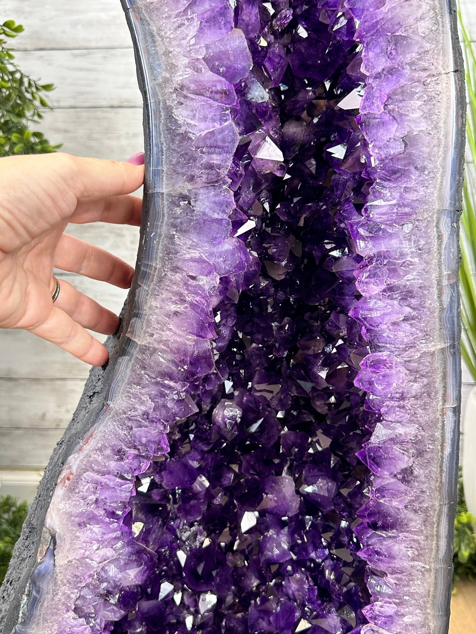 Super Quality Brazilian Amethyst Cathedral, 136 lbs & 37" Tall #5601-1303 - Brazil GemsBrazil GemsSuper Quality Brazilian Amethyst Cathedral, 136 lbs & 37" Tall #5601-1303Cathedrals5601-1303
