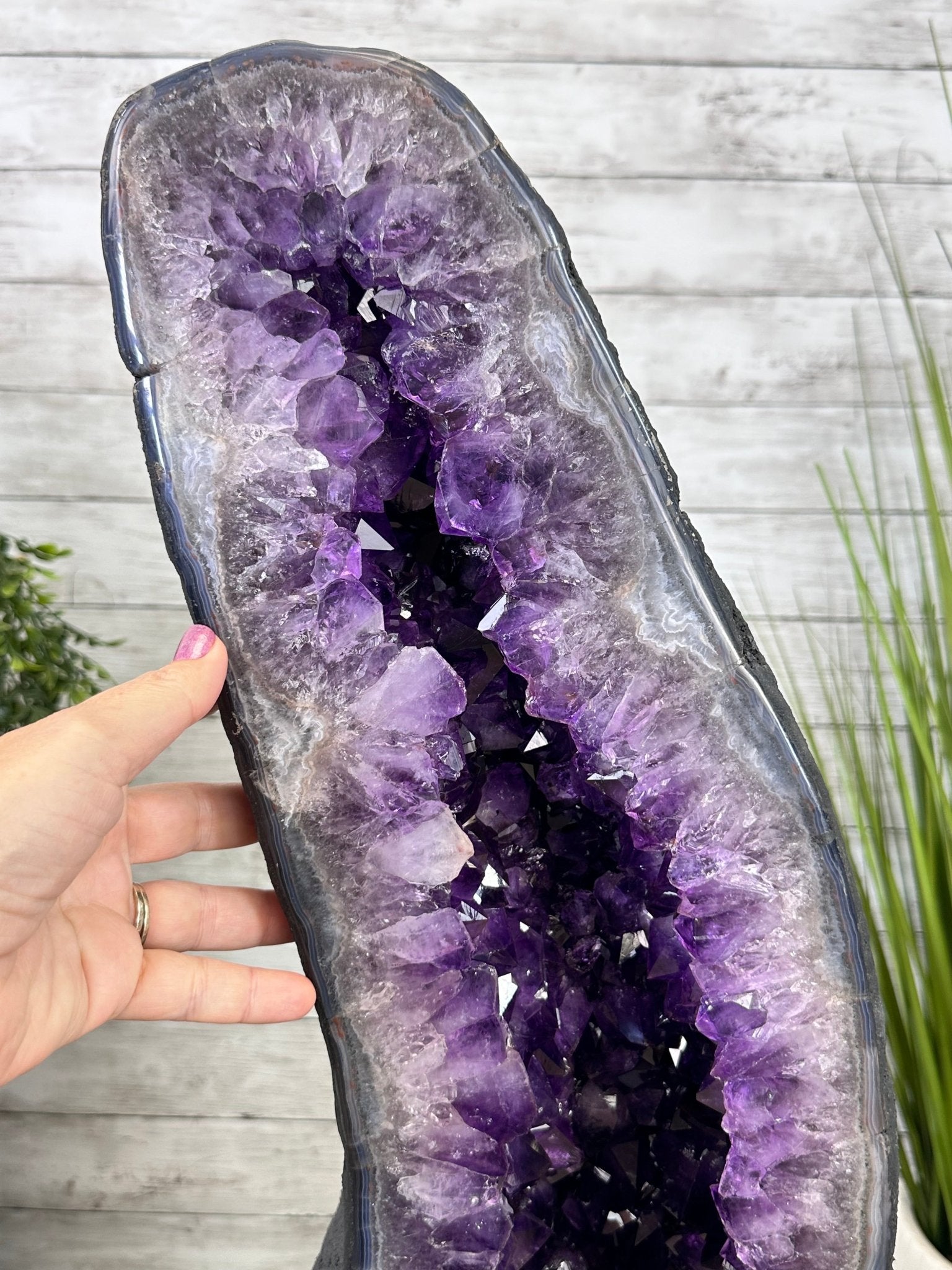Super Quality Brazilian Amethyst Cathedral, 136 lbs & 37" Tall #5601-1303 - Brazil GemsBrazil GemsSuper Quality Brazilian Amethyst Cathedral, 136 lbs & 37" Tall #5601-1303Cathedrals5601-1303