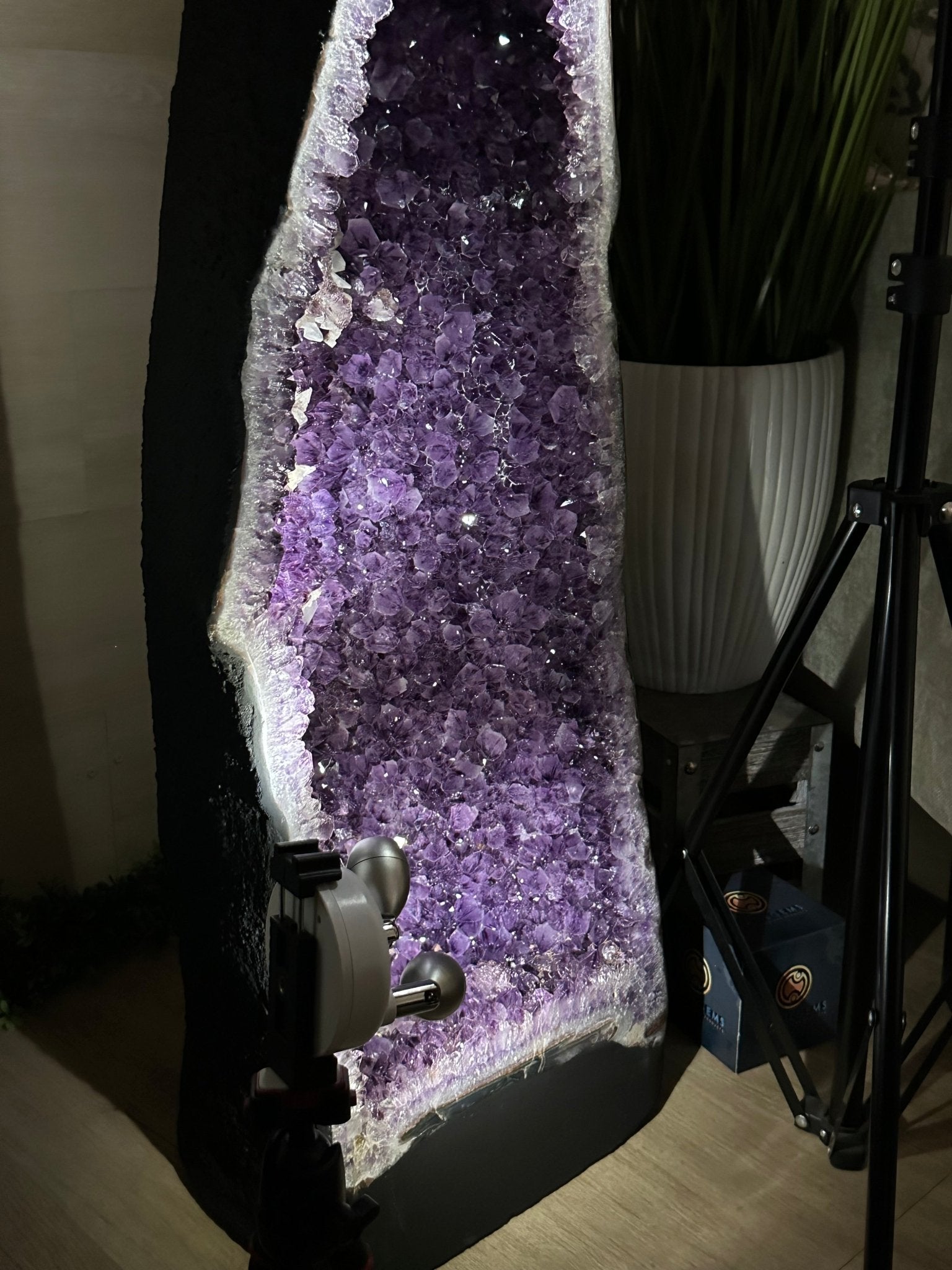 Super Quality Brazilian Amethyst Cathedral, 154.4 lbs & 3 Feet 8.5 Inches Tall #5601 - 1481 - Brazil GemsBrazil GemsSuper Quality Brazilian Amethyst Cathedral, 154.4 lbs & 3 Feet 8.5 Inches Tall #5601 - 1481Cathedrals5601 - 1481