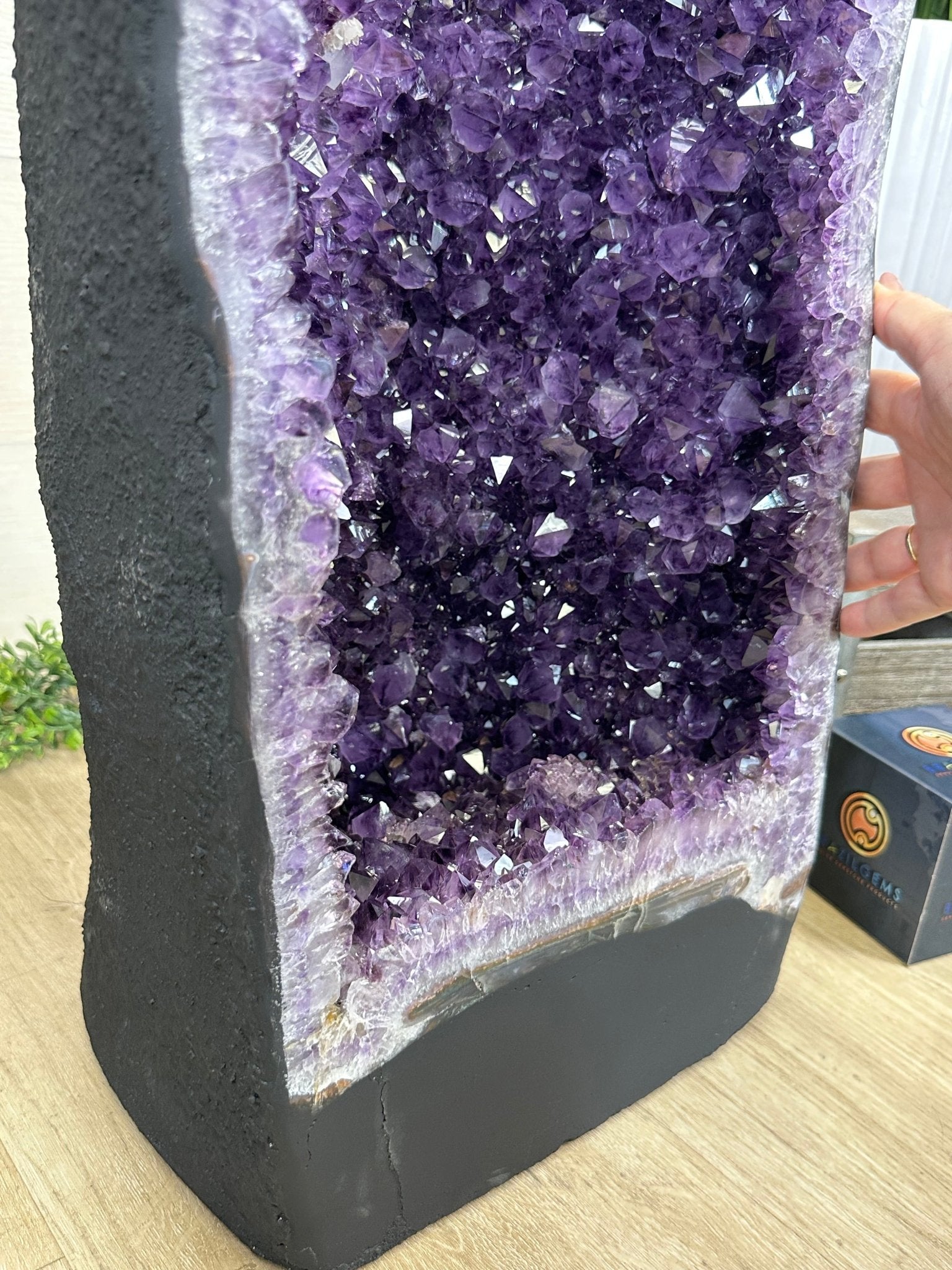Super Quality Brazilian Amethyst Cathedral, 154.4 lbs & 3 Feet 8.5 Inches Tall #5601 - 1481 - Brazil GemsBrazil GemsSuper Quality Brazilian Amethyst Cathedral, 154.4 lbs & 3 Feet 8.5 Inches Tall #5601 - 1481Cathedrals5601 - 1481