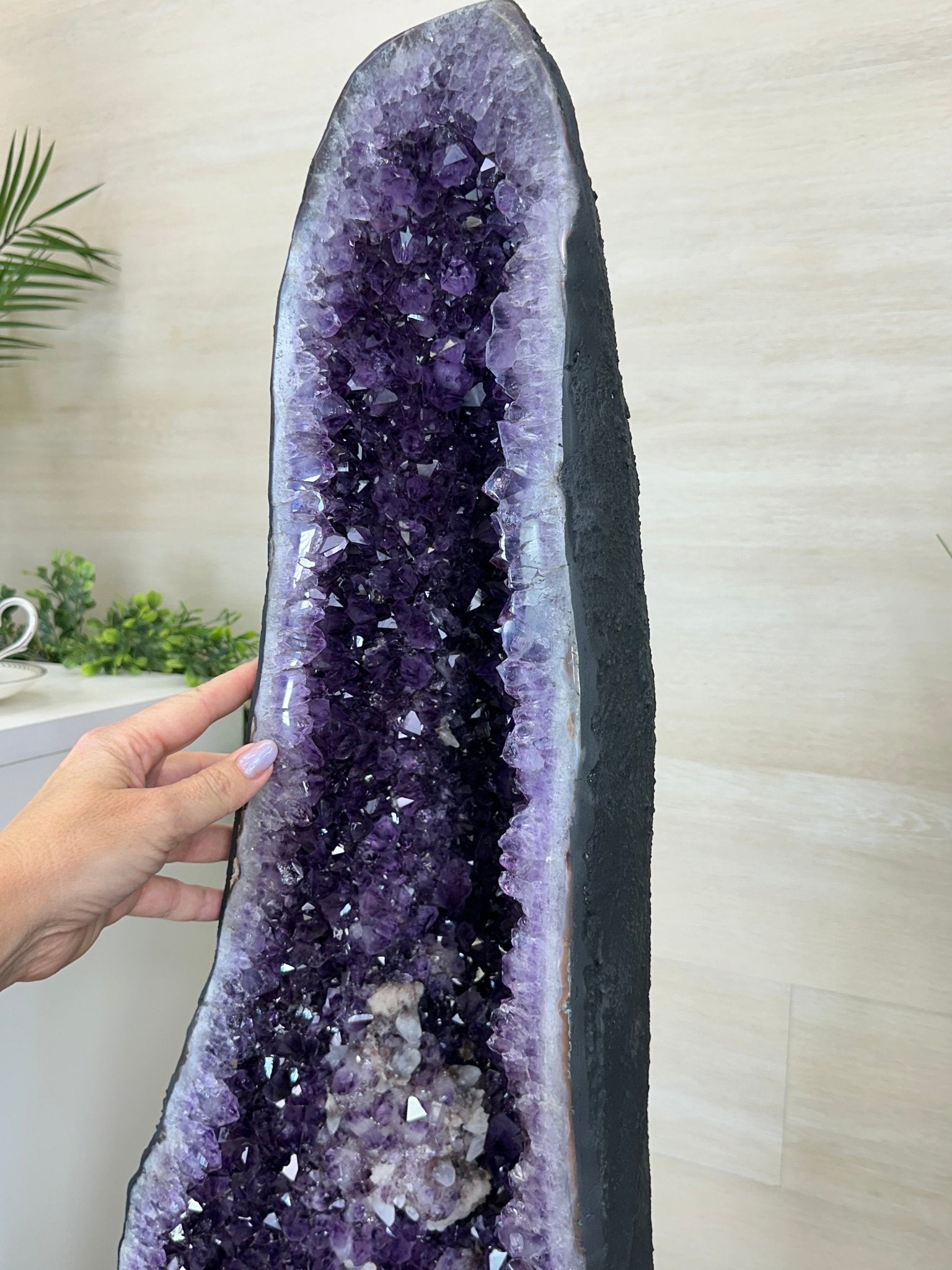 Super Quality Brazilian Amethyst Cathedral, 154.4 lbs & 3 Feet 8.5 Inches Tall #5601 - 1481 - Brazil GemsBrazil GemsSuper Quality Brazilian Amethyst Cathedral, 154.4 lbs & 3 Feet 8.5 Inches Tall #5601 - 1481Cathedrals5601 - 1481