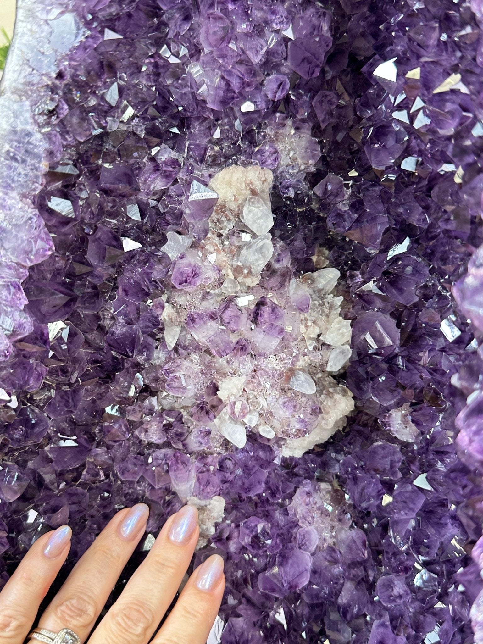 Super Quality Brazilian Amethyst Cathedral, 154.4 lbs & 3 Feet 8.5 Inches Tall #5601 - 1481 - Brazil GemsBrazil GemsSuper Quality Brazilian Amethyst Cathedral, 154.4 lbs & 3 Feet 8.5 Inches Tall #5601 - 1481Cathedrals5601 - 1481