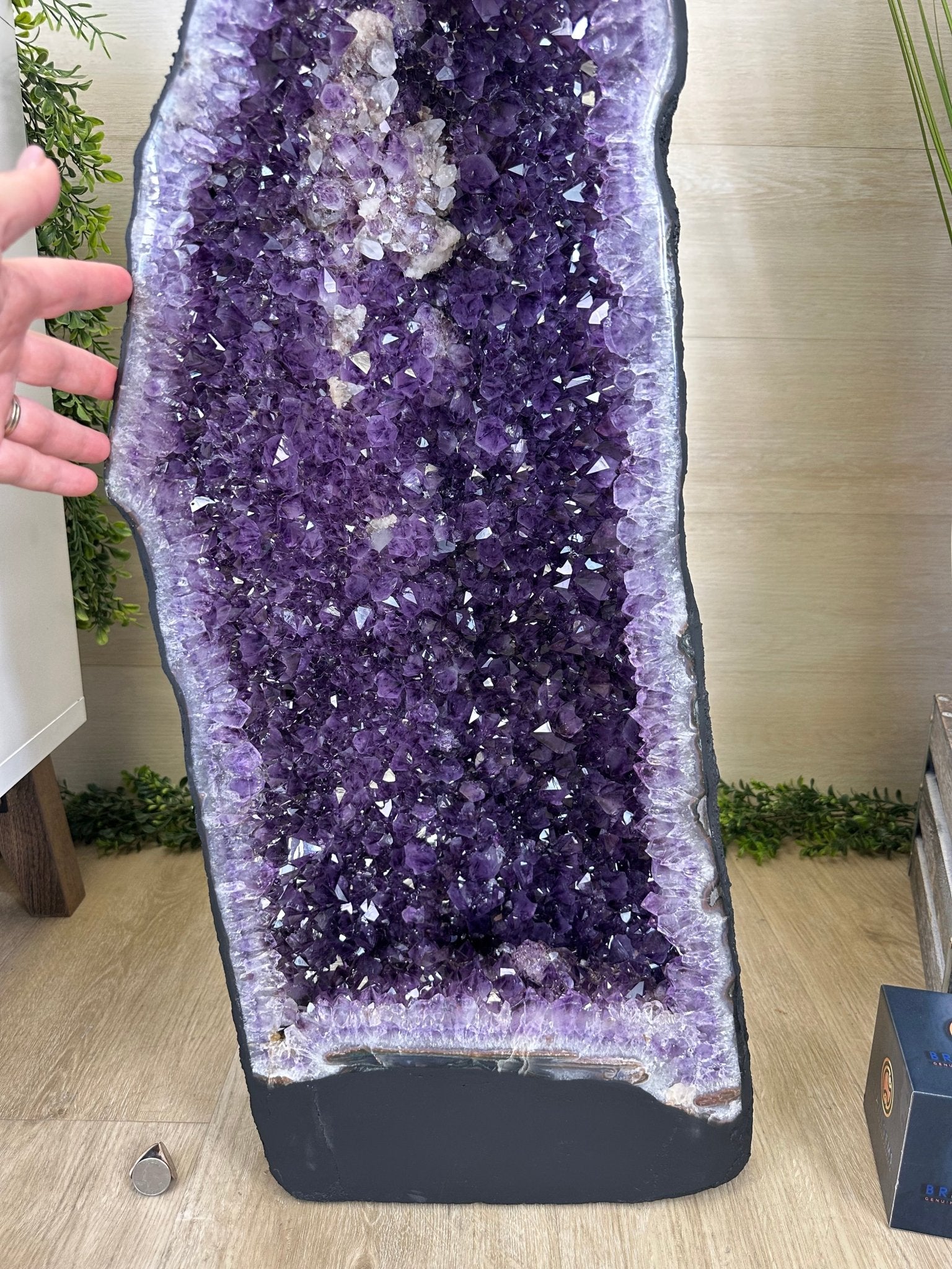 Super Quality Brazilian Amethyst Cathedral, 154.4 lbs & 3 Feet 8.5 Inches Tall #5601 - 1481 - Brazil GemsBrazil GemsSuper Quality Brazilian Amethyst Cathedral, 154.4 lbs & 3 Feet 8.5 Inches Tall #5601 - 1481Cathedrals5601 - 1481