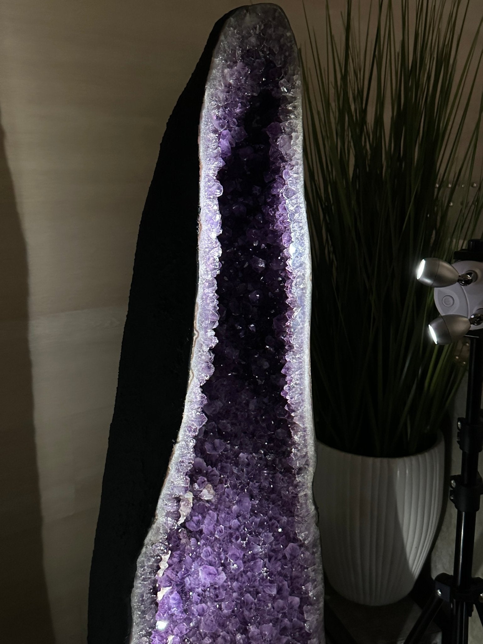 Super Quality Brazilian Amethyst Cathedral, 154.4 lbs & 3 Feet 8.5 Inches Tall #5601 - 1481 - Brazil GemsBrazil GemsSuper Quality Brazilian Amethyst Cathedral, 154.4 lbs & 3 Feet 8.5 Inches Tall #5601 - 1481Cathedrals5601 - 1481