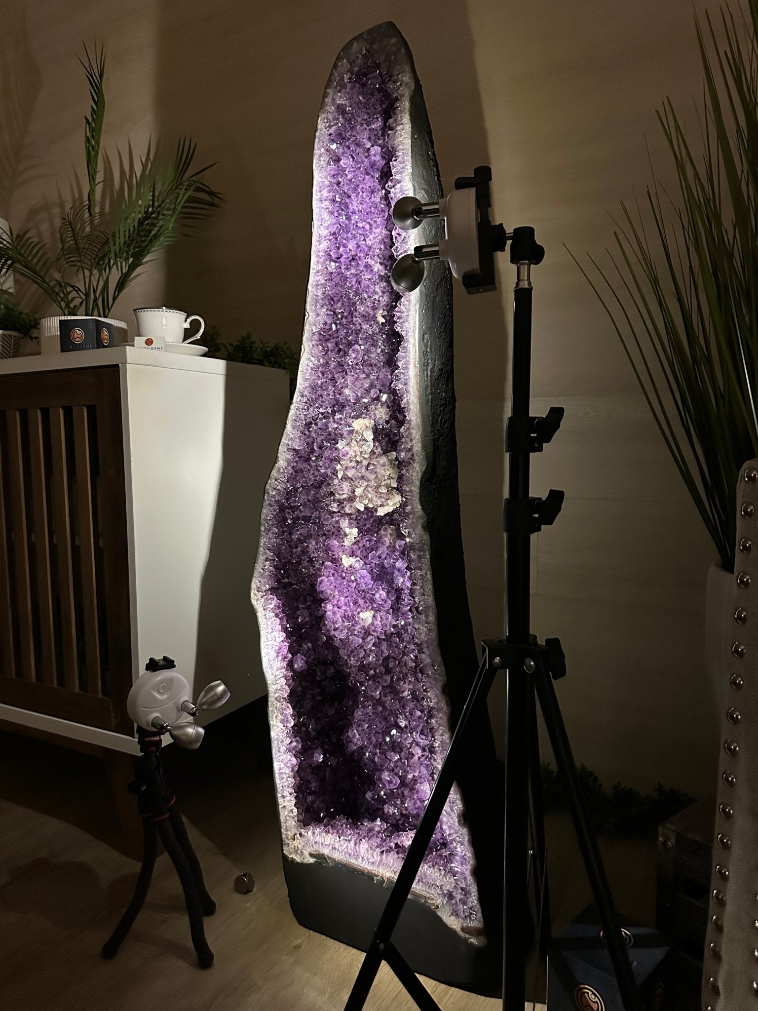 Super Quality Brazilian Amethyst Cathedral, 154.4 lbs & 3 Feet 8.5 Inches Tall #5601 - 1481 - Brazil GemsBrazil GemsSuper Quality Brazilian Amethyst Cathedral, 154.4 lbs & 3 Feet 8.5 Inches Tall #5601 - 1481Cathedrals5601 - 1481