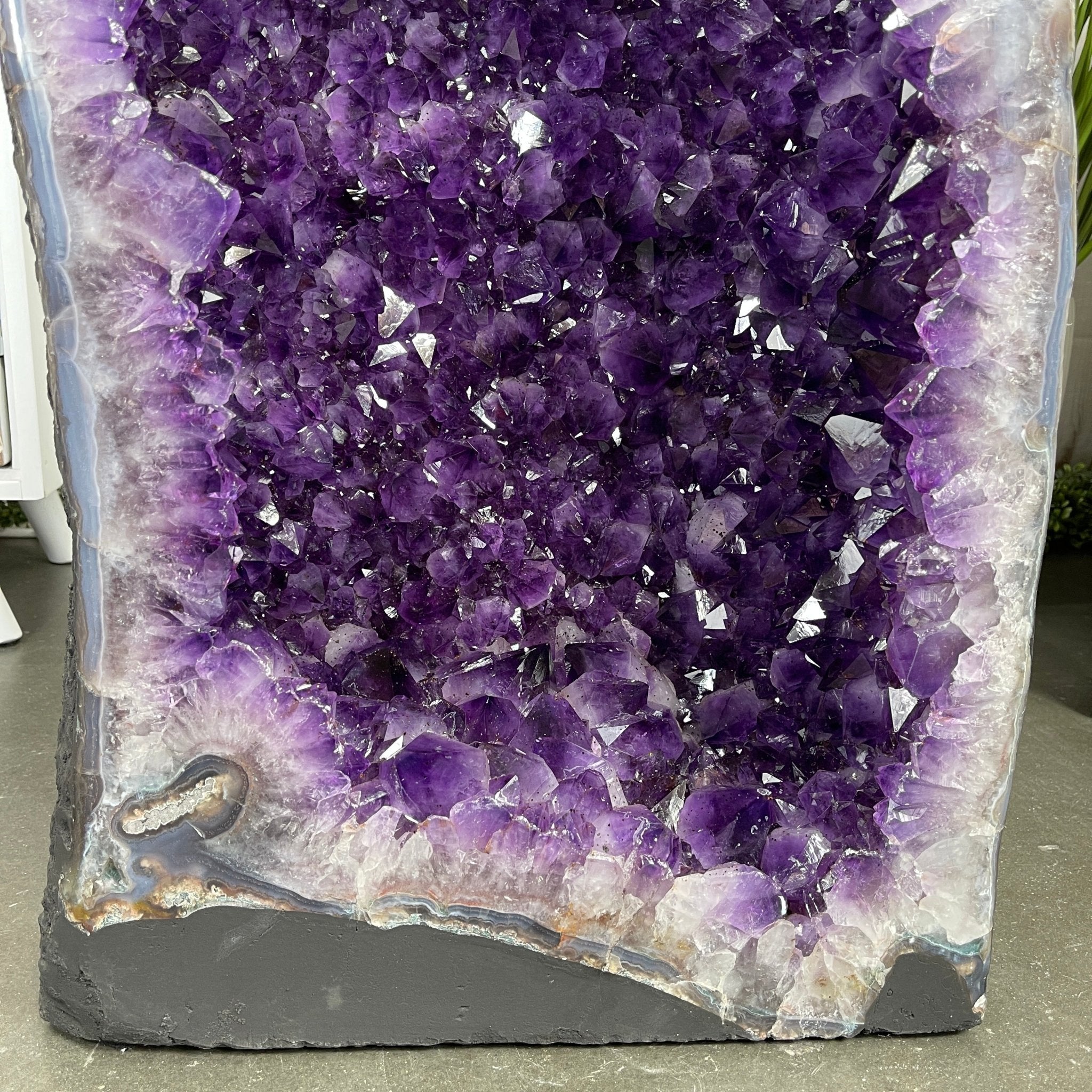 Super Quality Brazilian Amethyst Cathedral, 29” tall & 185.2 lbs #5601-0532 by Brazil Gems - Brazil GemsBrazil GemsSuper Quality Brazilian Amethyst Cathedral, 29” tall & 185.2 lbs #5601-0532 by Brazil GemsCathedrals5601-0532