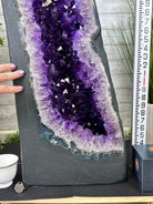 Super Quality Brazilian Amethyst Cathedral, 388 lbs & 72" Tall #5601-1341 - Brazil GemsBrazil GemsSuper Quality Brazilian Amethyst Cathedral, 388 lbs & 72" Tall #5601-1341Cathedrals5601-1341