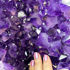 Super Quality Brazilian Amethyst Cathedral, 388 lbs & 72" Tall #5601-1341 - Brazil GemsBrazil GemsSuper Quality Brazilian Amethyst Cathedral, 388 lbs & 72" Tall #5601-1341Cathedrals5601-1341