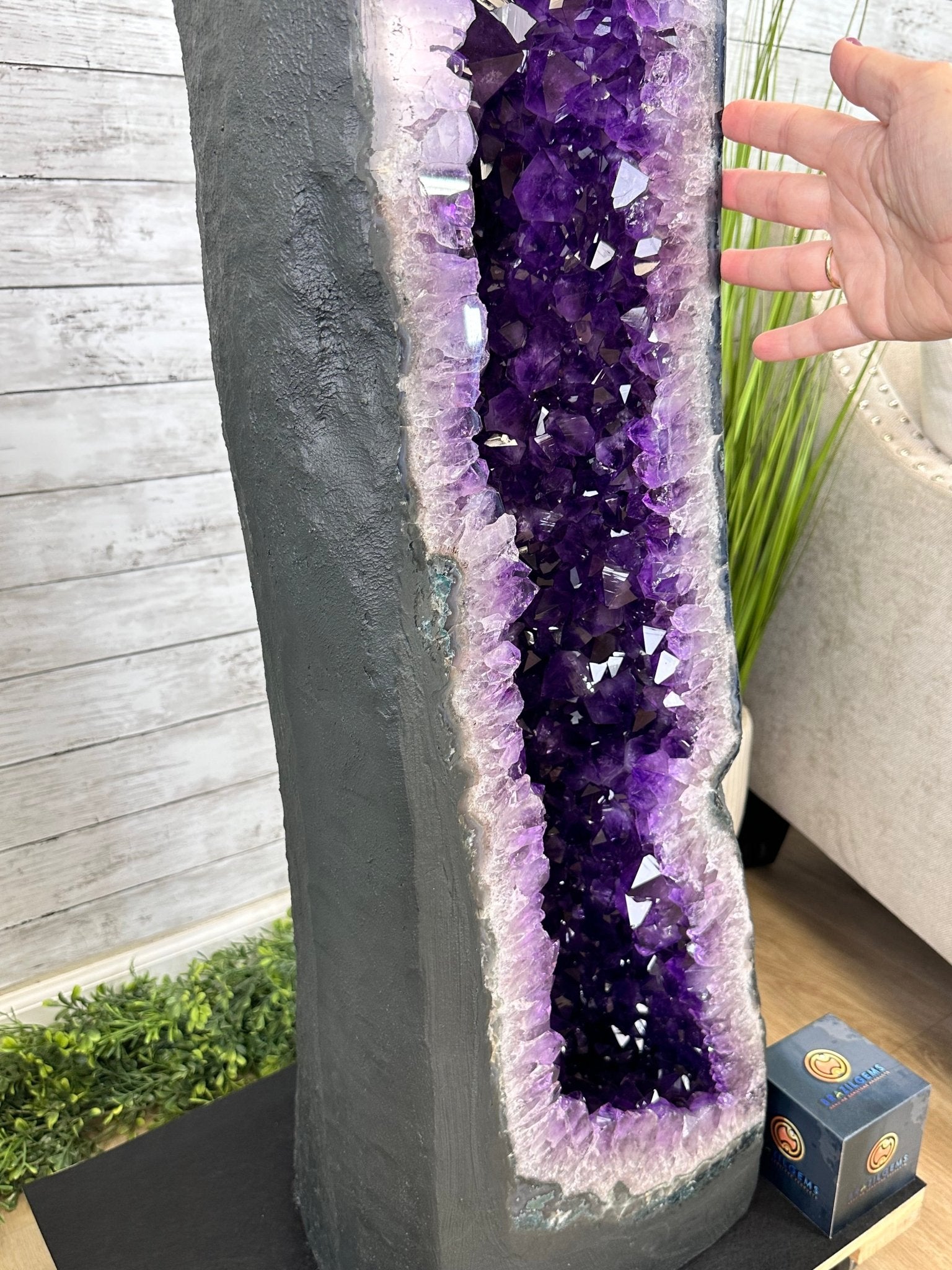 Super Quality Brazilian Amethyst Cathedral, 388 lbs & 72" Tall #5601-1341 - Brazil GemsBrazil GemsSuper Quality Brazilian Amethyst Cathedral, 388 lbs & 72" Tall #5601-1341Cathedrals5601-1341