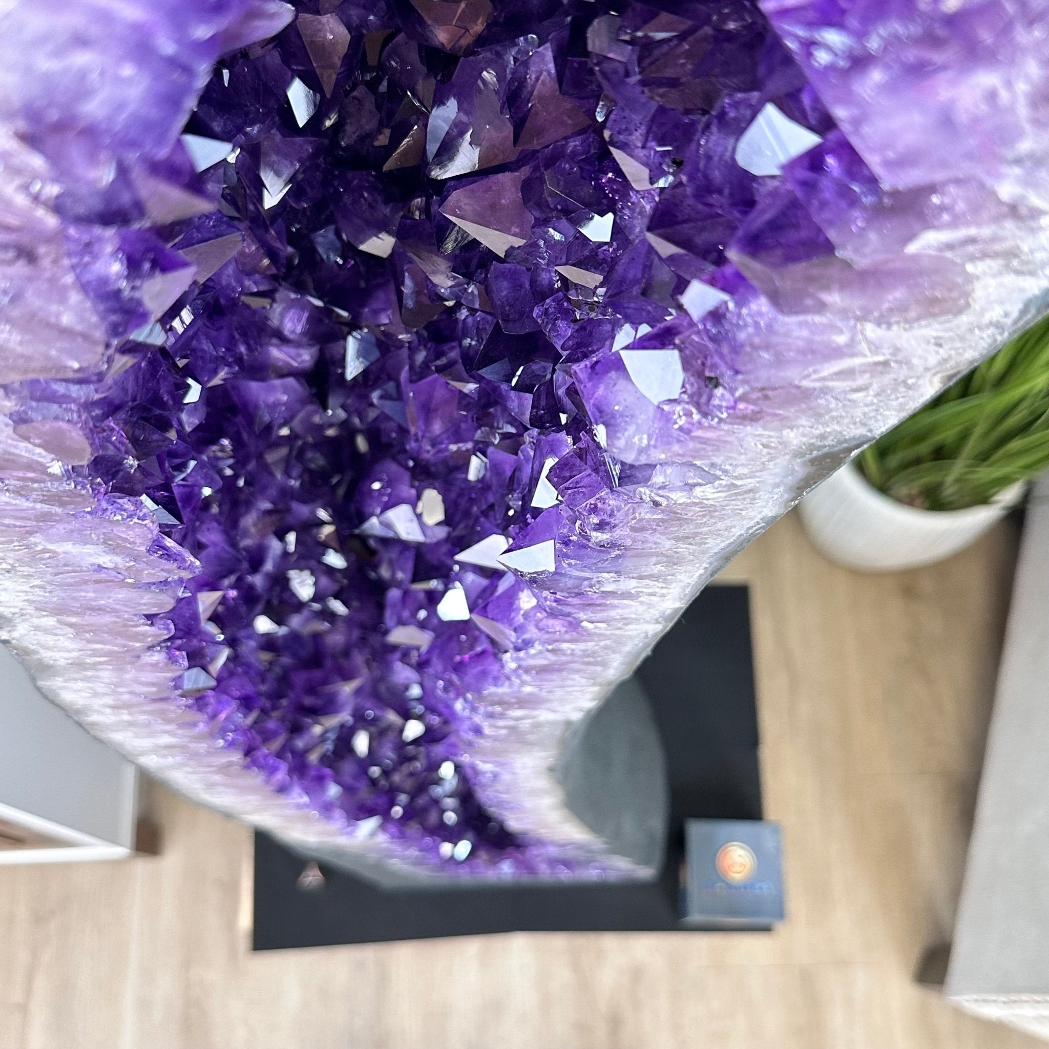 Super Quality Brazilian Amethyst Cathedral, 388 lbs & 72" Tall #5601-1341 - Brazil GemsBrazil GemsSuper Quality Brazilian Amethyst Cathedral, 388 lbs & 72" Tall #5601-1341Cathedrals5601-1341