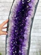 Super Quality Brazilian Amethyst Cathedral, 388 lbs & 72" Tall #5601-1341 - Brazil GemsBrazil GemsSuper Quality Brazilian Amethyst Cathedral, 388 lbs & 72" Tall #5601-1341Cathedrals5601-1341