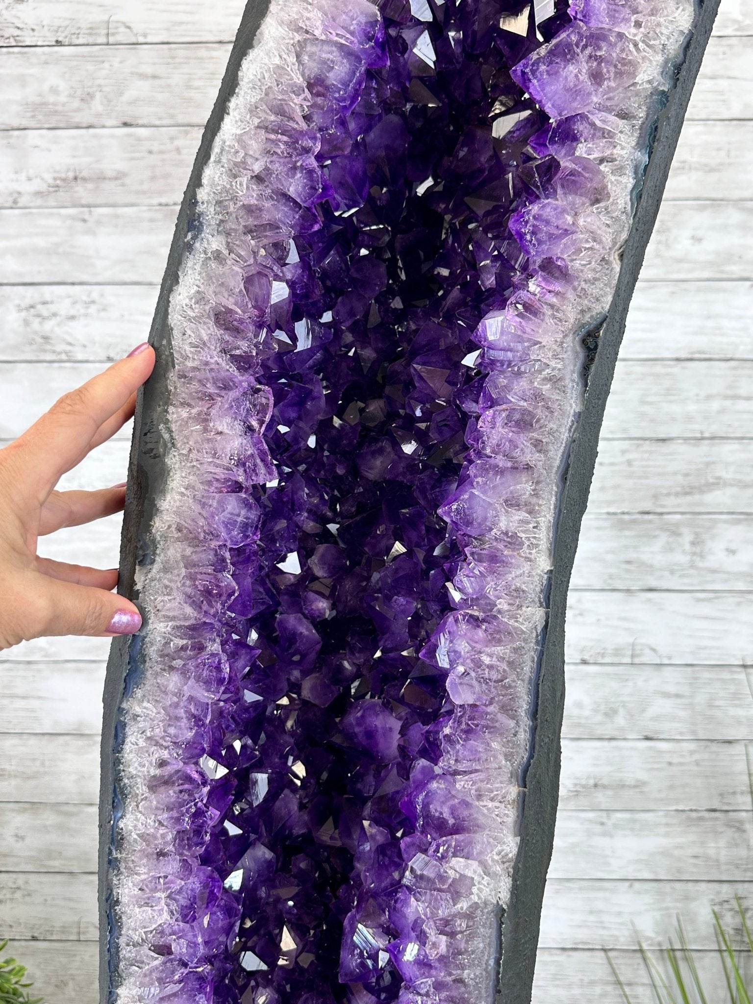 Super Quality Brazilian Amethyst Cathedral, 388 lbs & 72" Tall #5601-1341 - Brazil GemsBrazil GemsSuper Quality Brazilian Amethyst Cathedral, 388 lbs & 72" Tall #5601-1341Cathedrals5601-1341