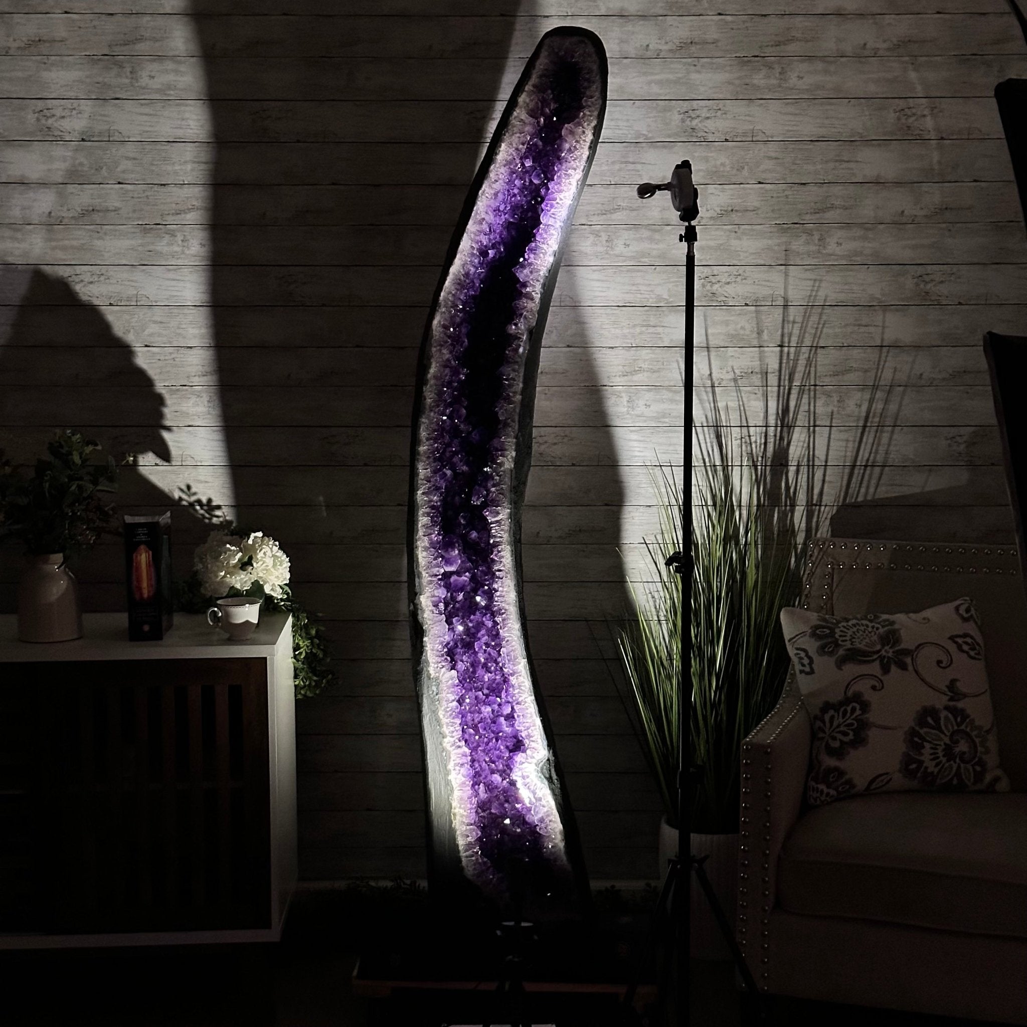 Super Quality Brazilian Amethyst Cathedral, 388 lbs & 72" Tall #5601-1341 - Brazil GemsBrazil GemsSuper Quality Brazilian Amethyst Cathedral, 388 lbs & 72" Tall #5601-1341Cathedrals5601-1341