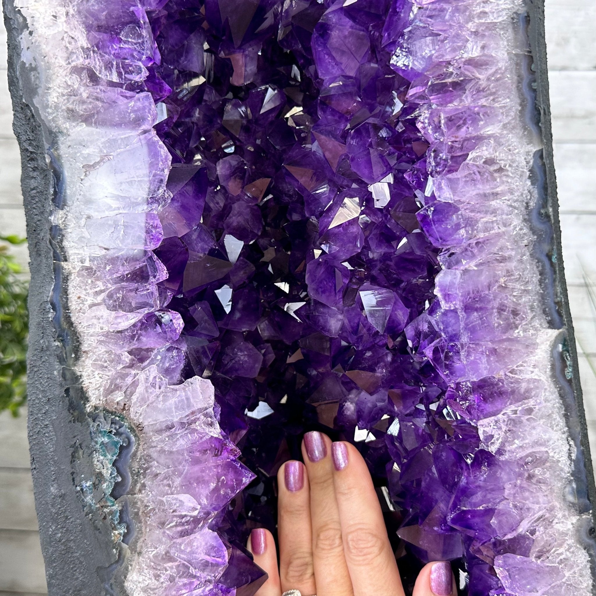 Super Quality Brazilian Amethyst Cathedral, 388 lbs & 72" Tall #5601-1341 - Brazil GemsBrazil GemsSuper Quality Brazilian Amethyst Cathedral, 388 lbs & 72" Tall #5601-1341Cathedrals5601-1341