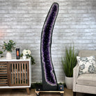 Super Quality Brazilian Amethyst Cathedral, 388 lbs & 72" Tall #5601-1341 - Brazil GemsBrazil GemsSuper Quality Brazilian Amethyst Cathedral, 388 lbs & 72" Tall #5601-1341Cathedrals5601-1341