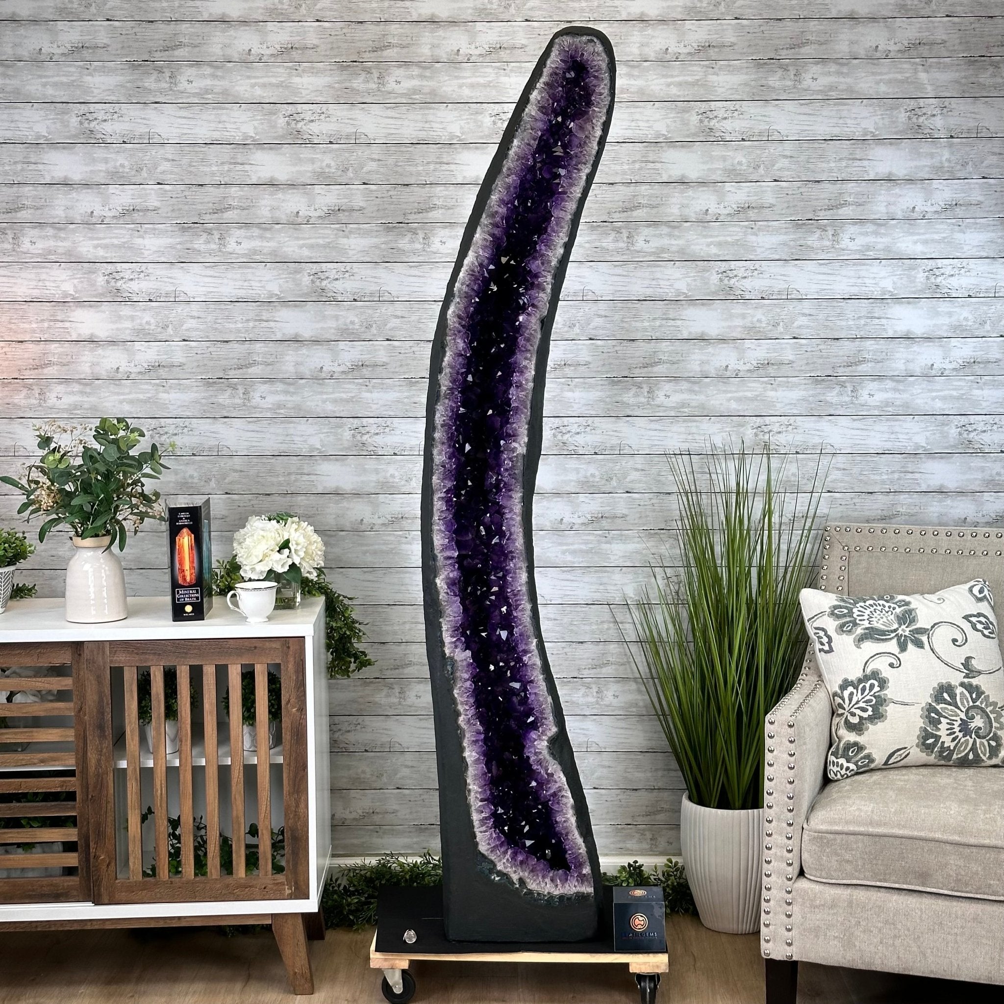 Super Quality Brazilian Amethyst Cathedral, 388 lbs & 72" Tall #5601-1341 - Brazil GemsBrazil GemsSuper Quality Brazilian Amethyst Cathedral, 388 lbs & 72" Tall #5601-1341Cathedrals5601-1341