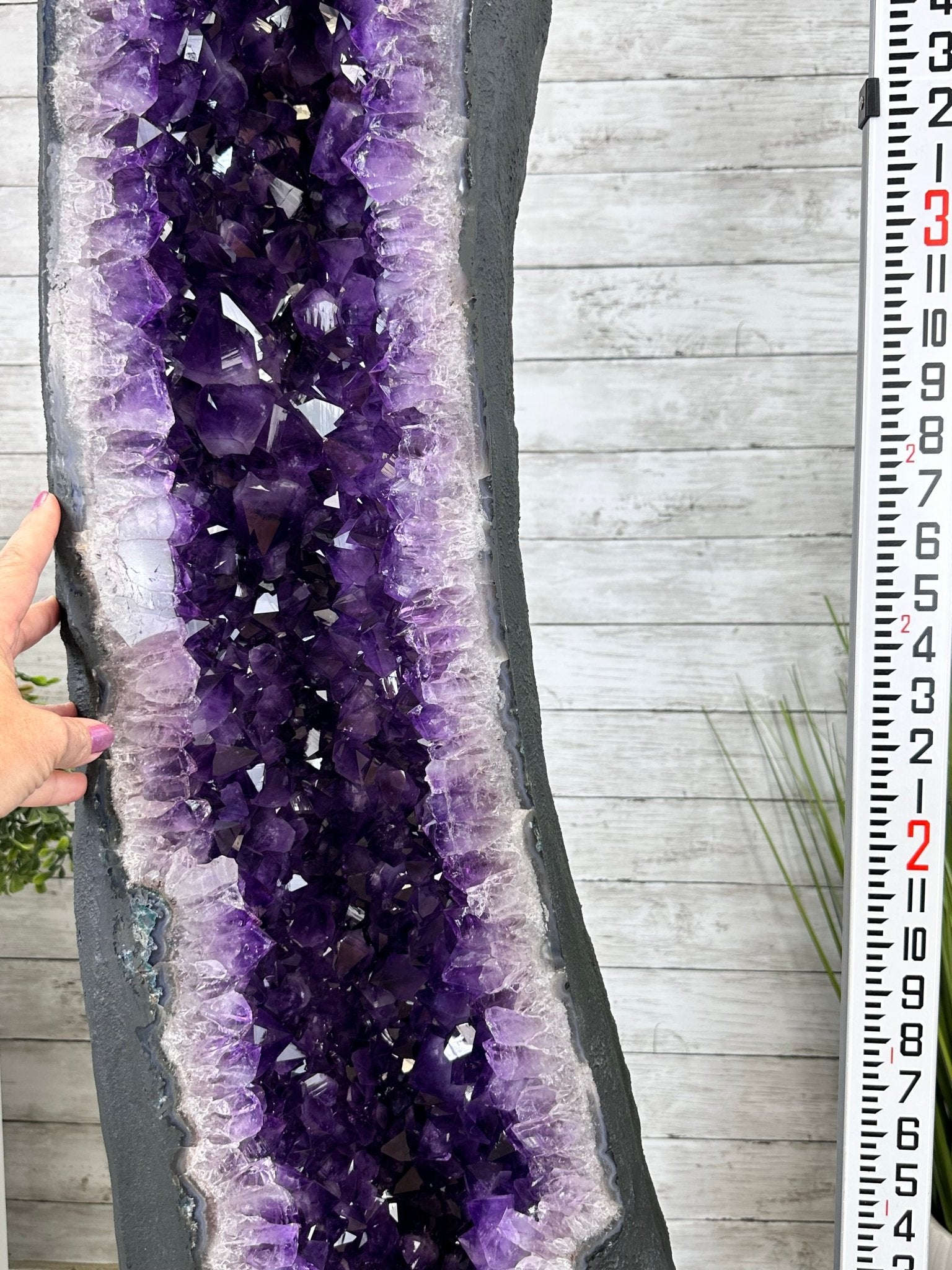 Super Quality Brazilian Amethyst Cathedral, 388 lbs & 72" Tall #5601-1341 - Brazil GemsBrazil GemsSuper Quality Brazilian Amethyst Cathedral, 388 lbs & 72" Tall #5601-1341Cathedrals5601-1341