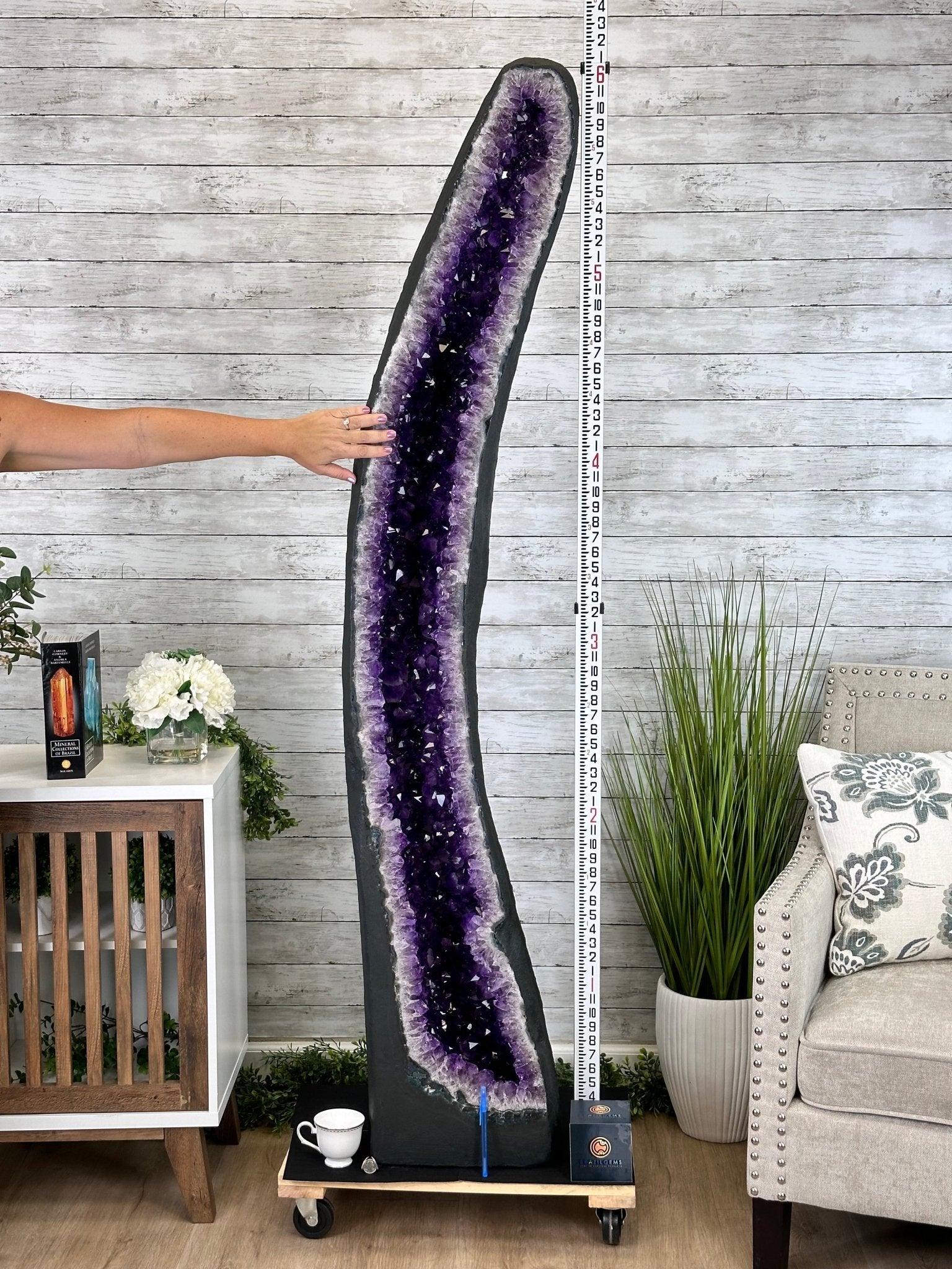 Super Quality Brazilian Amethyst Cathedral, 388 lbs & 72" Tall #5601-1341 - Brazil GemsBrazil GemsSuper Quality Brazilian Amethyst Cathedral, 388 lbs & 72" Tall #5601-1341Cathedrals5601-1341