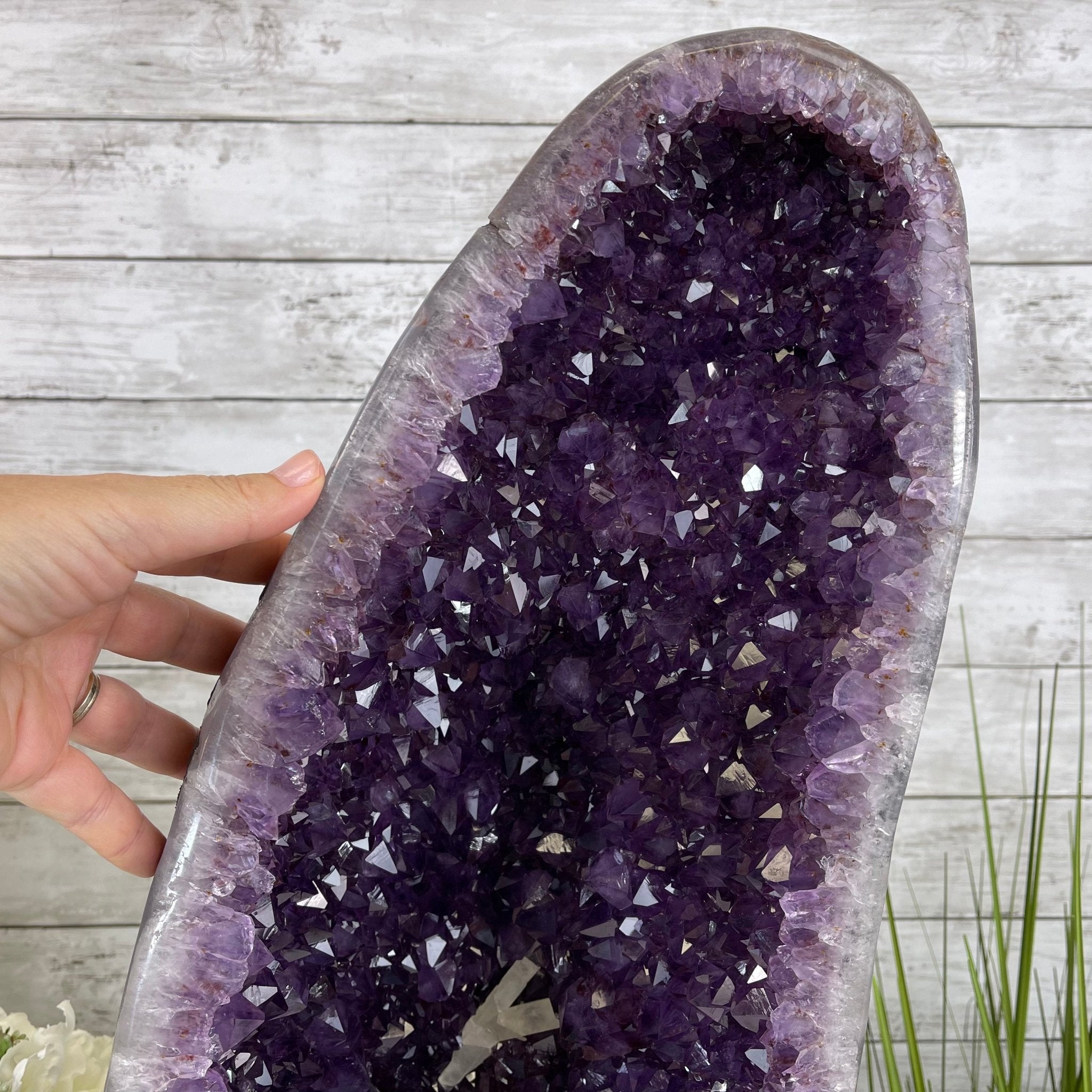 Super Quality Brazilian Amethyst Cathedral, 50.2 lbs & 21.2” tall #5601-1164 by Brazil Gems - Brazil GemsBrazil GemsSuper Quality Brazilian Amethyst Cathedral, 50.2 lbs & 21.2” tall #5601-1164 by Brazil GemsCathedrals5601-1164