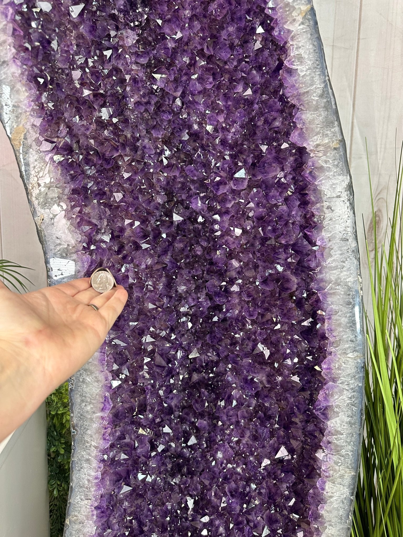 Super Quality Brazilian Amethyst Cathedral, 682.4 lbs & 6 Feet 5.5 Inches Tall #5601 - 1475 - Brazil GemsBrazil GemsSuper Quality Brazilian Amethyst Cathedral, 682.4 lbs & 6 Feet 5.5 Inches Tall #5601 - 1475Cathedrals5601 - 1475
