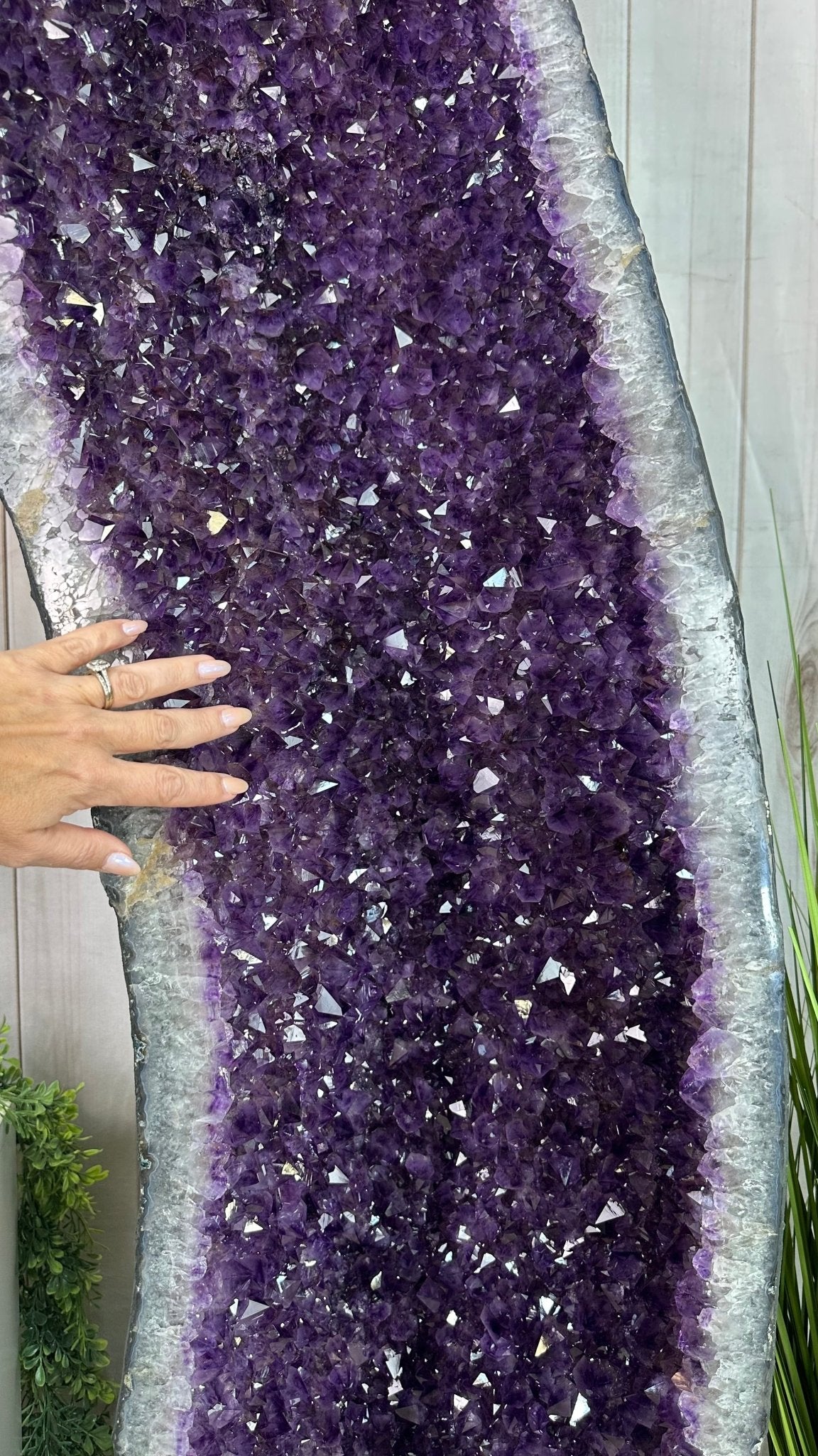 Super Quality Brazilian Amethyst Cathedral, 682.4 lbs & 6 Feet 5.5 Inches Tall #5601 - 1475 - Brazil GemsBrazil GemsSuper Quality Brazilian Amethyst Cathedral, 682.4 lbs & 6 Feet 5.5 Inches Tall #5601 - 1475Cathedrals5601 - 1475