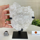Super Quality Clear Quartz Cluster, Metal Stand, 2.3 lbs & 7.2" Tall5495 - 0079 - Brazil GemsBrazil GemsSuper Quality Clear Quartz Cluster, Metal Stand, 2.3 lbs & 7.2" Tall5495 - 0079Clusters on Fixed Bases5495 - 0079