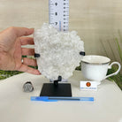 Super Quality Clear Quartz Cluster, Metal Stand, 2.3 lbs & 7.2" Tall5495 - 0079 - Brazil GemsBrazil GemsSuper Quality Clear Quartz Cluster, Metal Stand, 2.3 lbs & 7.2" Tall5495 - 0079Clusters on Fixed Bases5495 - 0079