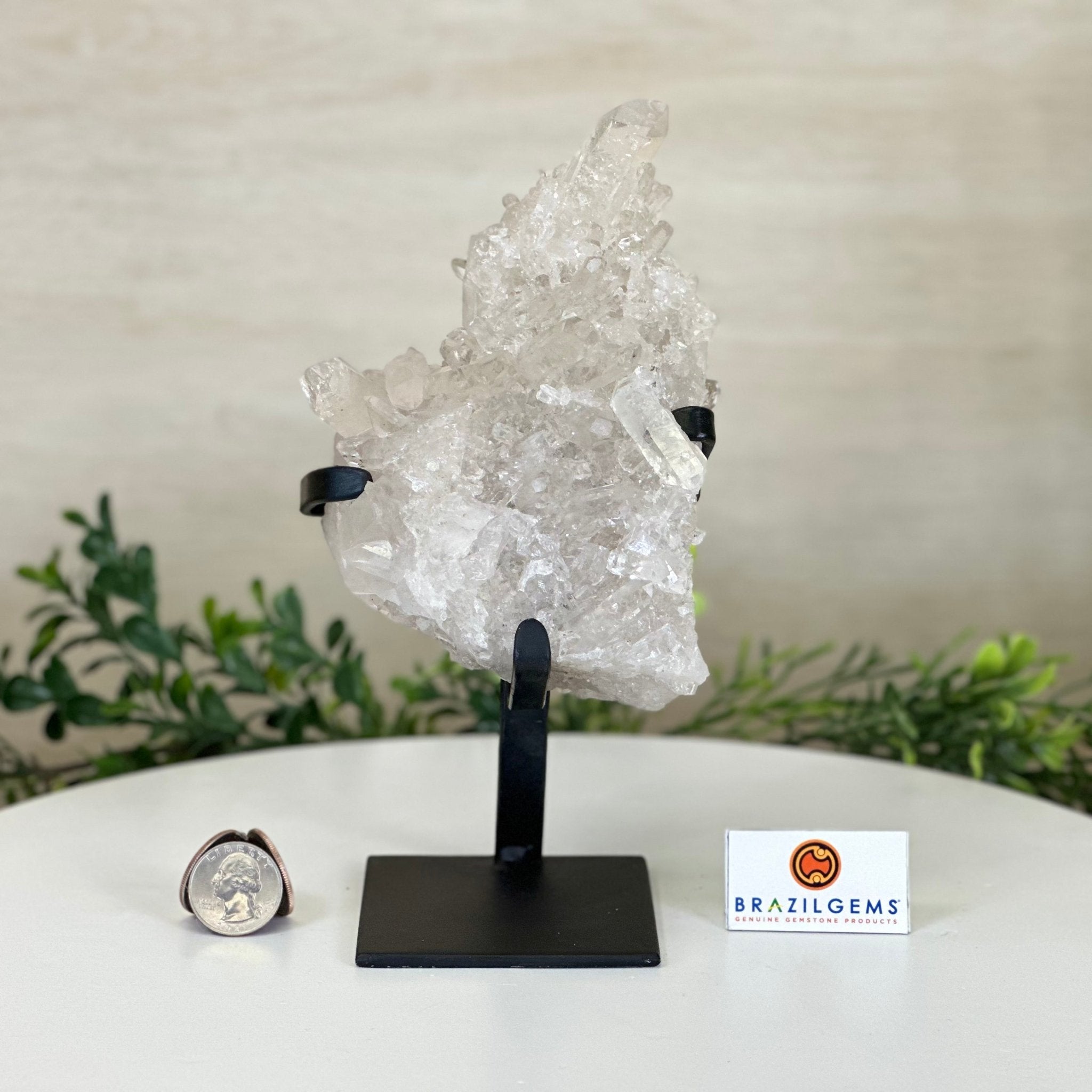 Super Quality Clear Quartz Cluster, Metal Stand, 2.8 lbs & 8.5" Tall 5495 - 0081 - Brazil GemsBrazil GemsSuper Quality Clear Quartz Cluster, Metal Stand, 2.8 lbs & 8.5" Tall 5495 - 0081Clusters on Fixed Bases5495 - 0081