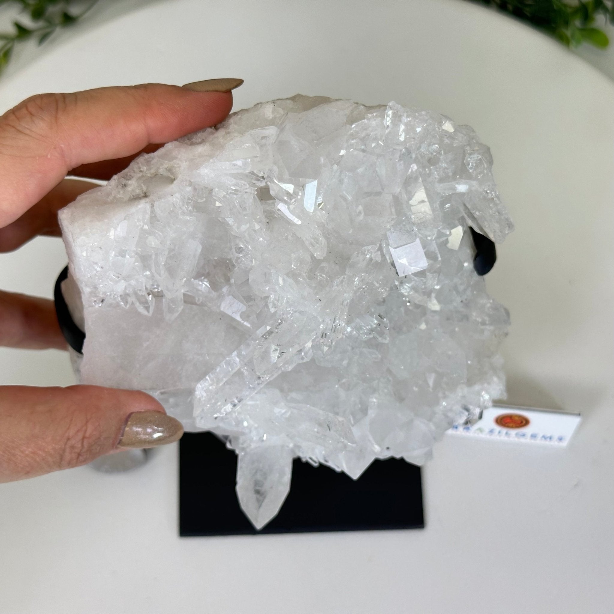 Super Quality Clear Quartz Cluster, Metal Stand, 3.5 lbs & 8.2" Tall 5495 - 0084 - Brazil GemsBrazil GemsSuper Quality Clear Quartz Cluster, Metal Stand, 3.5 lbs & 8.2" Tall 5495 - 0084Clusters on Fixed Bases5495 - 0084