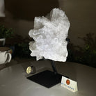 Super Quality Clear Quartz Cluster, Metal Stand, 3.5 lbs & 8.2" Tall 5495 - 0084 - Brazil GemsBrazil GemsSuper Quality Clear Quartz Cluster, Metal Stand, 3.5 lbs & 8.2" Tall 5495 - 0084Clusters on Fixed Bases5495 - 0084