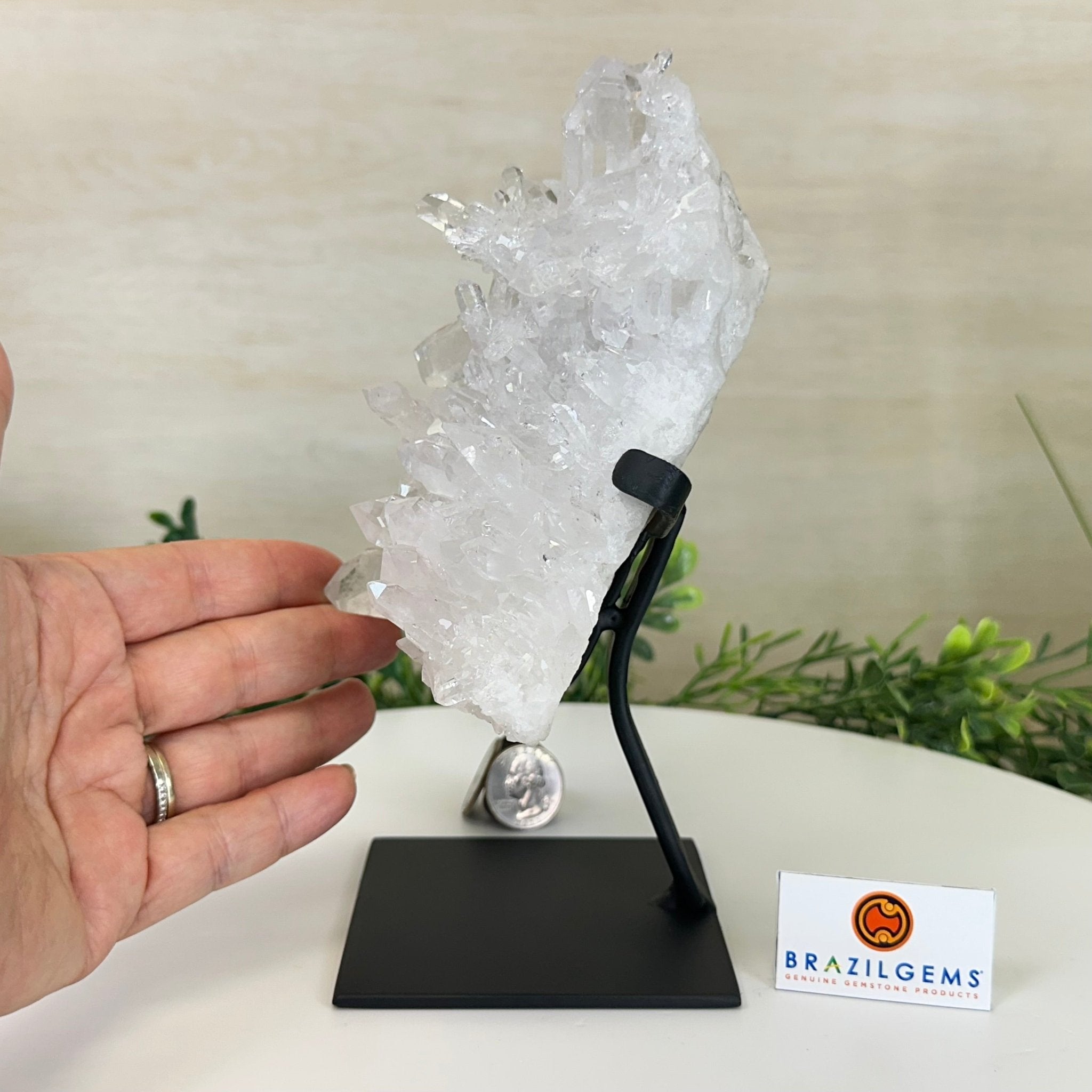 Super Quality Clear Quartz Cluster, Metal Stand, 3.5 lbs & 8.2" Tall 5495 - 0084 - Brazil GemsBrazil GemsSuper Quality Clear Quartz Cluster, Metal Stand, 3.5 lbs & 8.2" Tall 5495 - 0084Clusters on Fixed Bases5495 - 0084