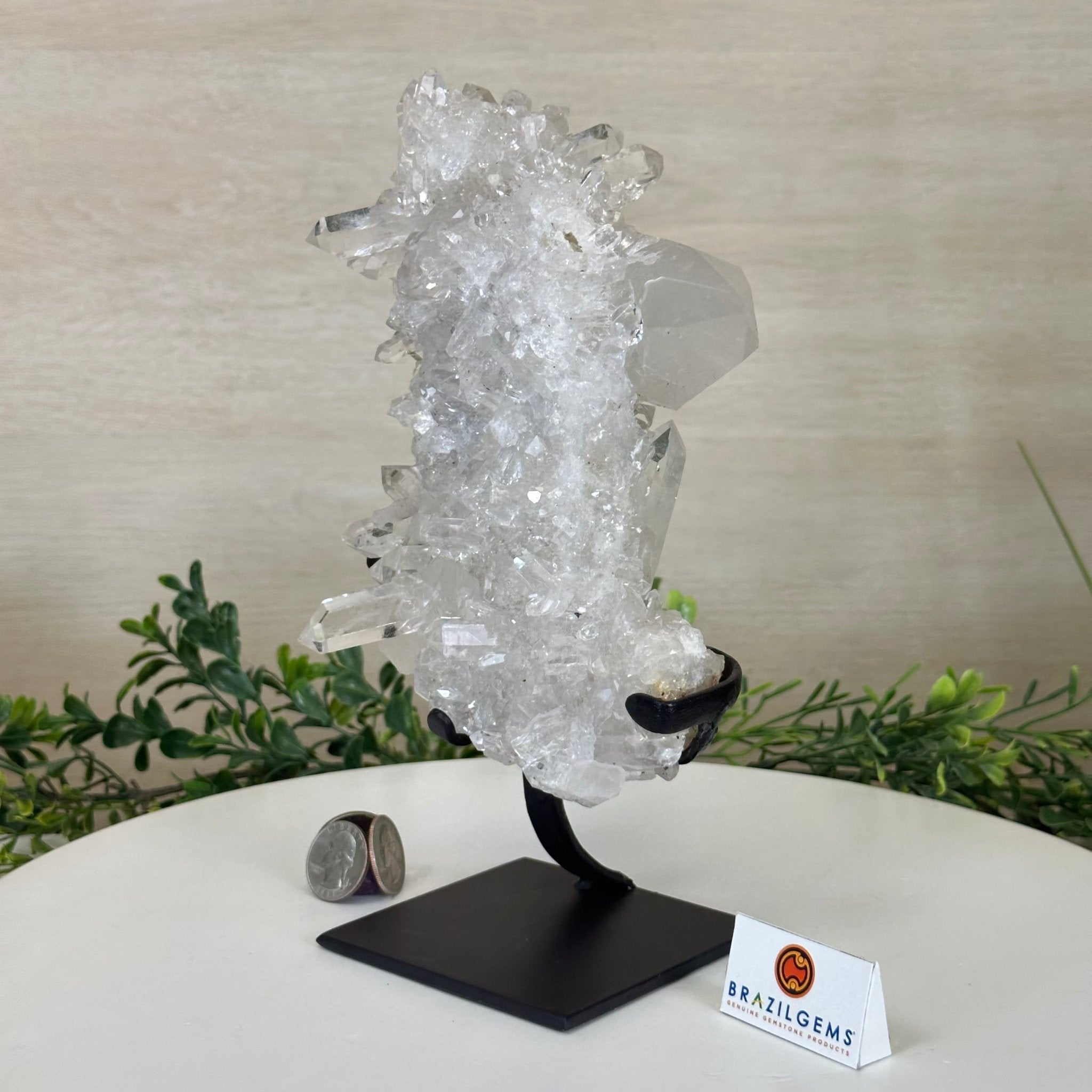 Super Quality Clear Quartz Cluster, Metal Stand, 4 lbs & 9.6" Tall 5495 - 0086 - Brazil GemsBrazil GemsSuper Quality Clear Quartz Cluster, Metal Stand, 4 lbs & 9.6" Tall 5495 - 0086Clusters on Fixed Bases5495 - 0086