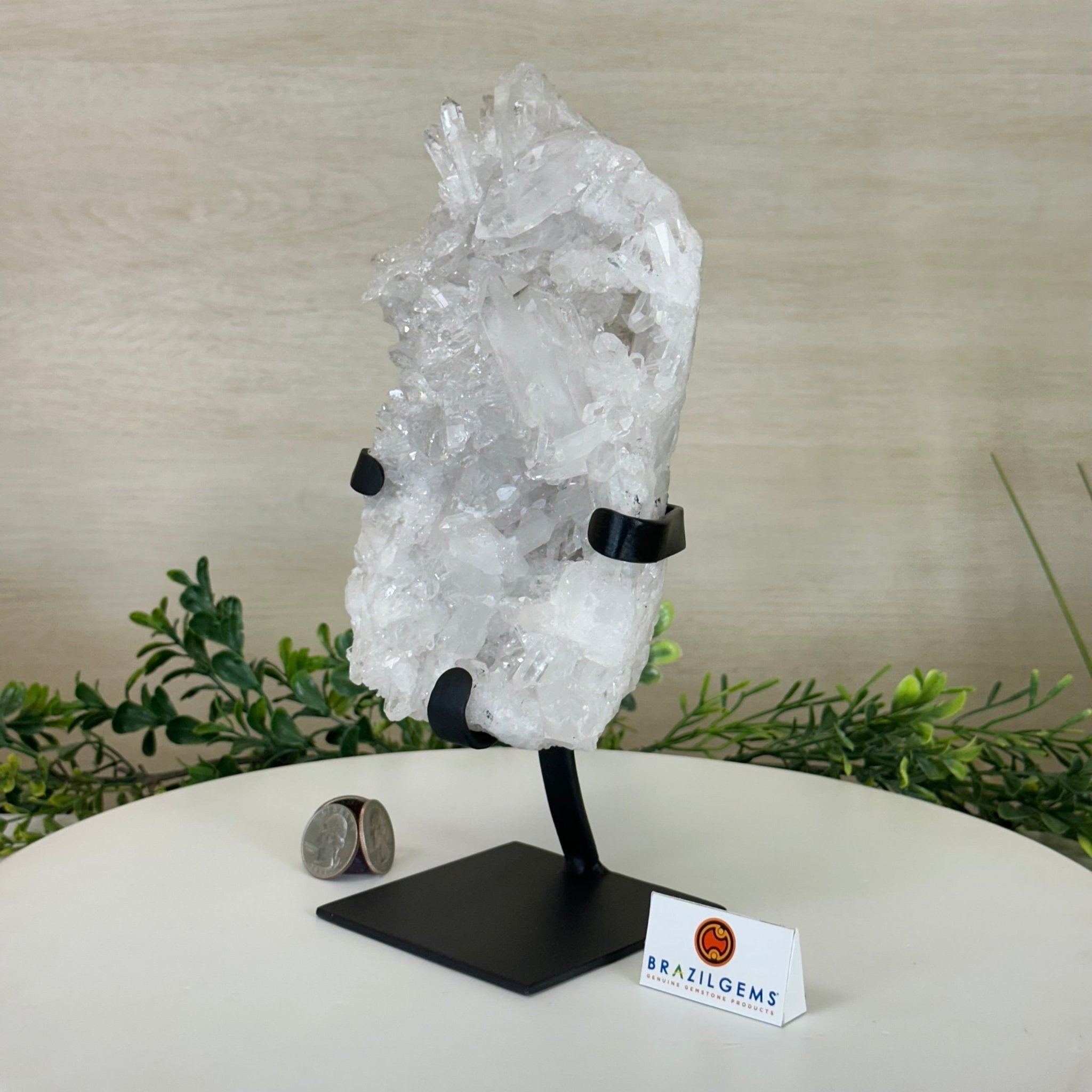 Super Quality Clear Quartz Cluster, Metal Stand, 4.1 lbs & 10.1" Tall 5495 - 0087 - Brazil GemsBrazil GemsSuper Quality Clear Quartz Cluster, Metal Stand, 4.1 lbs & 10.1" Tall 5495 - 0087Clusters on Fixed Bases5495 - 0087