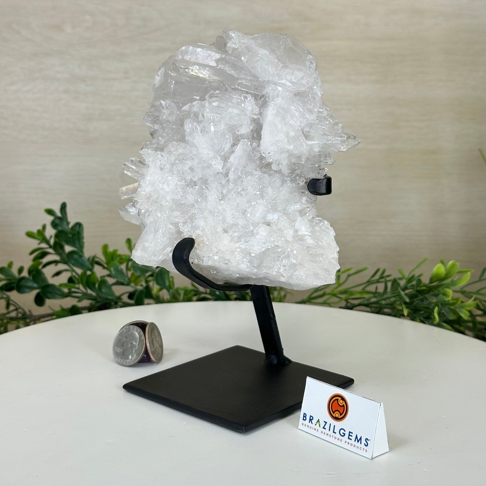 Super Quality Clear Quartz Cluster, Metal Stand, 4.2 lbs & 7.6" Tall 5495 - 0089 - Brazil GemsBrazil GemsSuper Quality Clear Quartz Cluster, Metal Stand, 4.2 lbs & 7.6" Tall 5495 - 0089Clusters on Fixed Bases5495 - 0089