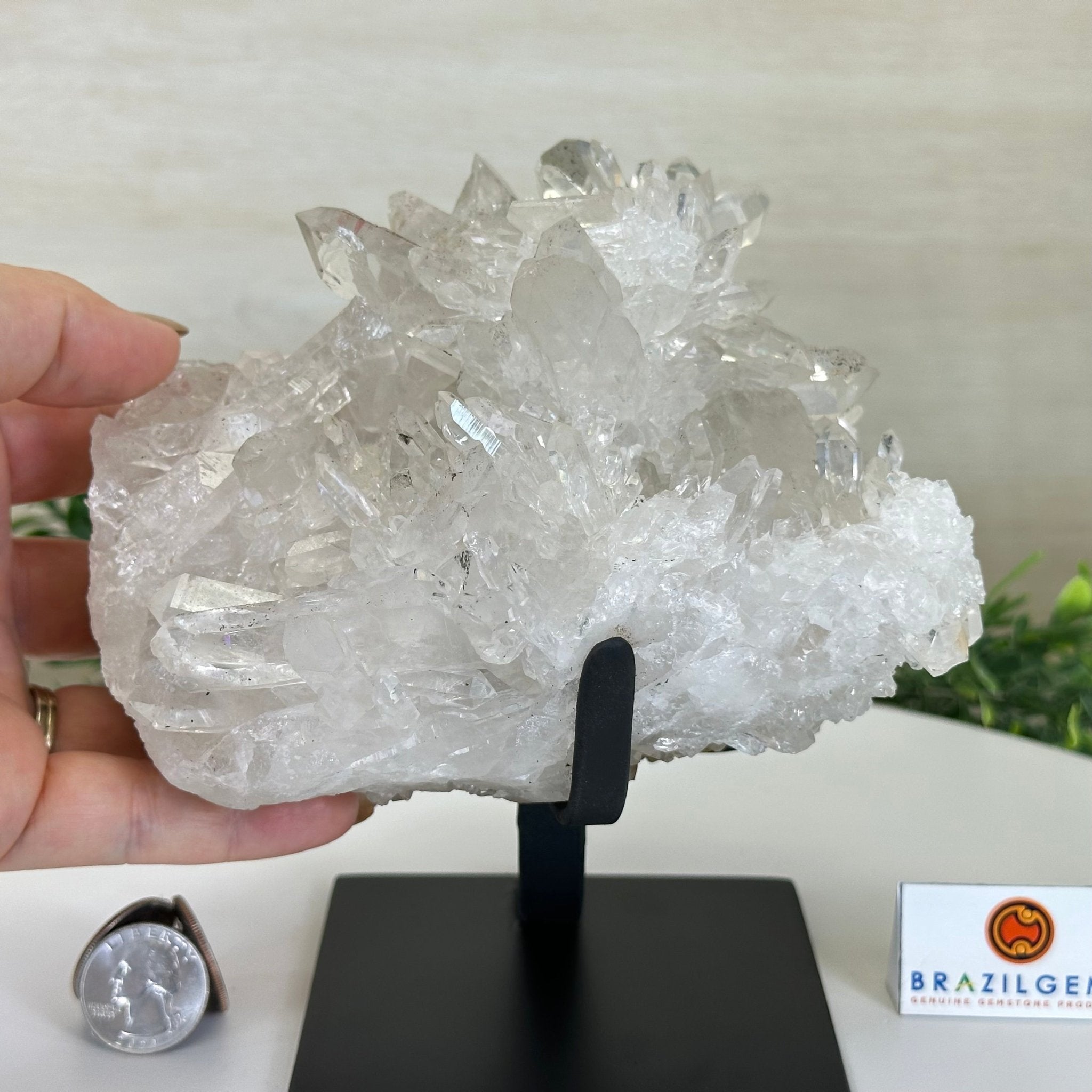 Super Quality Clear Quartz Cluster, Metal Stand, 5 lbs & 6.4" Tall 5495 - 0093 - Brazil GemsBrazil GemsSuper Quality Clear Quartz Cluster, Metal Stand, 5 lbs & 6.4" Tall 5495 - 0093Clusters on Fixed Bases5495 - 0093