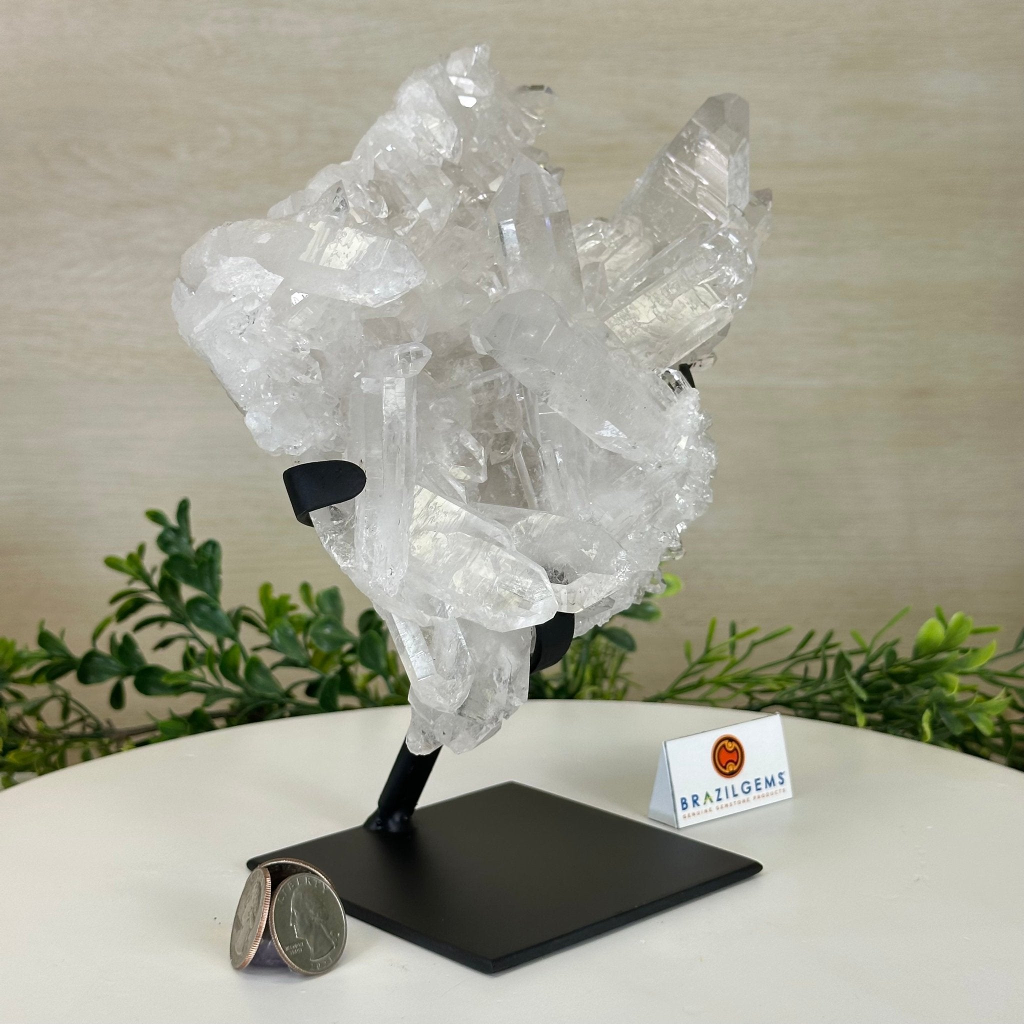 Super Quality Clear Quartz Cluster, Metal Stand, 5.2 lbs & 8.9" Tall 5495 - 0095 - Brazil GemsBrazil GemsSuper Quality Clear Quartz Cluster, Metal Stand, 5.2 lbs & 8.9" Tall 5495 - 0095Clusters on Fixed Bases5495 - 0095