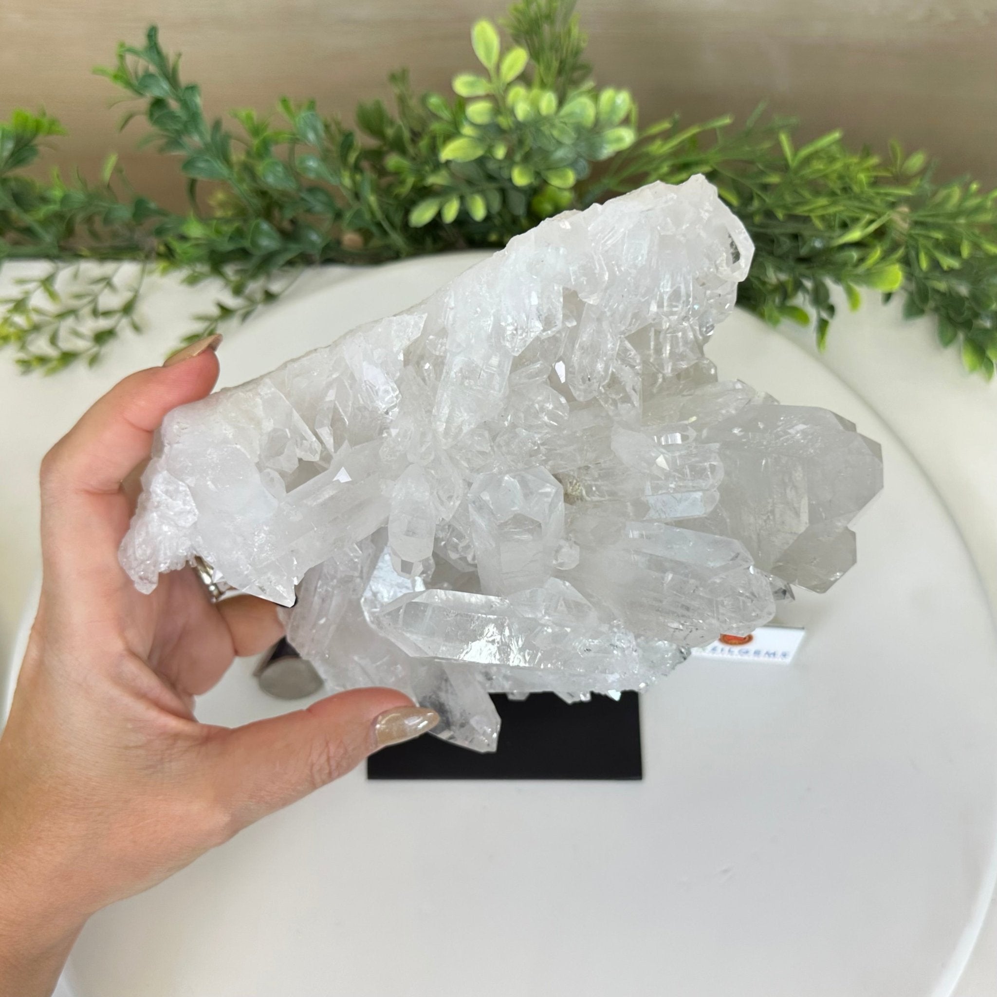 Super Quality Clear Quartz Cluster, Metal Stand, 5.2 lbs & 8.9" Tall 5495 - 0095 - Brazil GemsBrazil GemsSuper Quality Clear Quartz Cluster, Metal Stand, 5.2 lbs & 8.9" Tall 5495 - 0095Clusters on Fixed Bases5495 - 0095